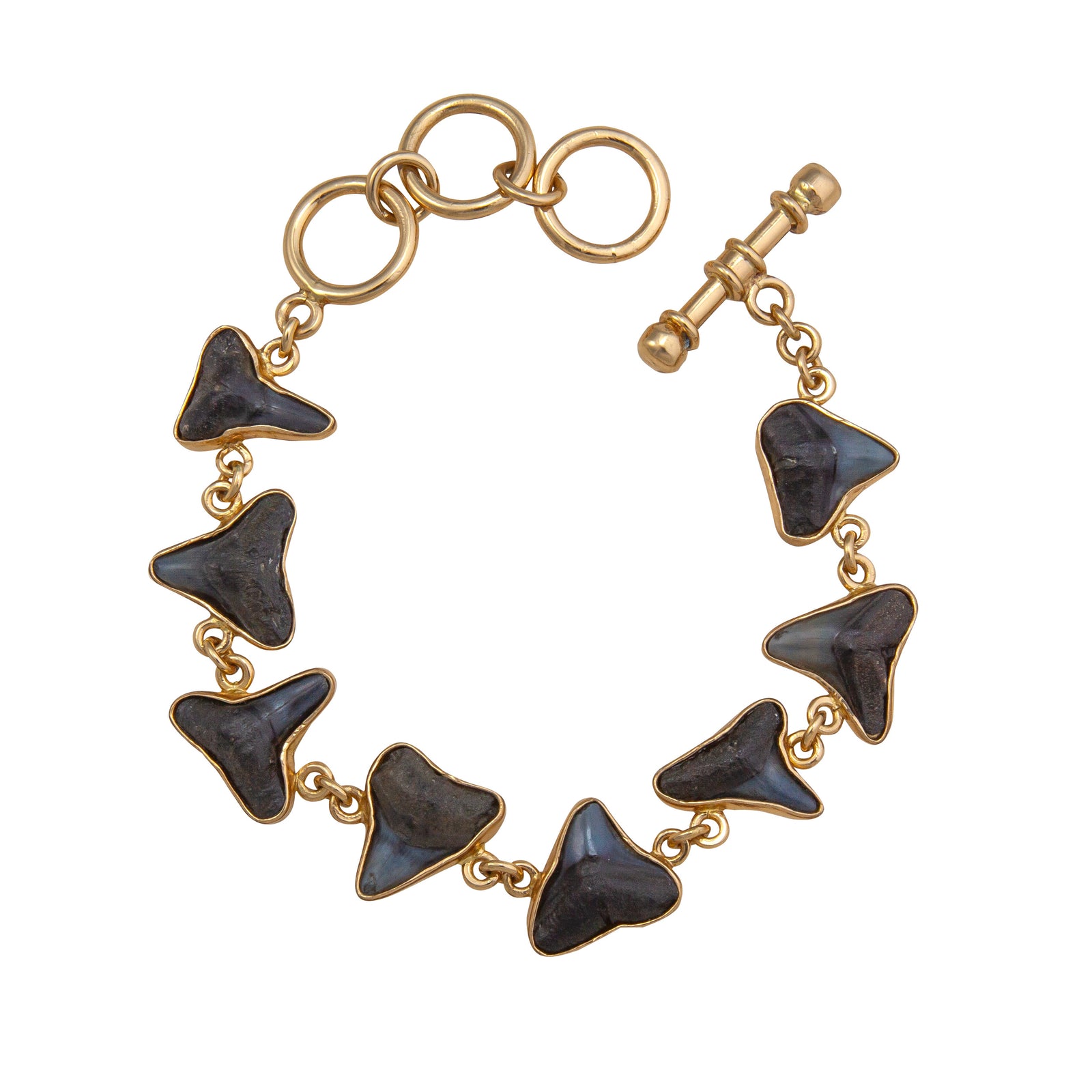 Alchemia Shark Tooth Petite Bracelet | Charles Albert Jewelry