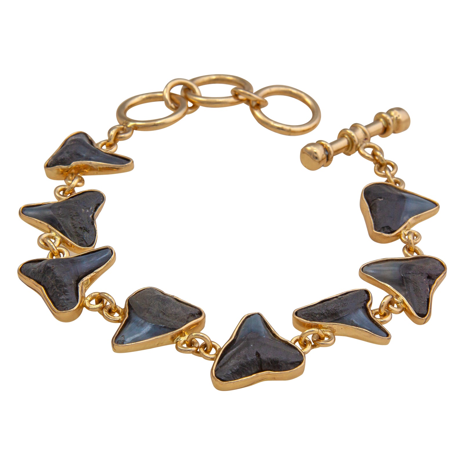 Alchemia Shark Tooth Petite Bracelet | Charles Albert Jewelry