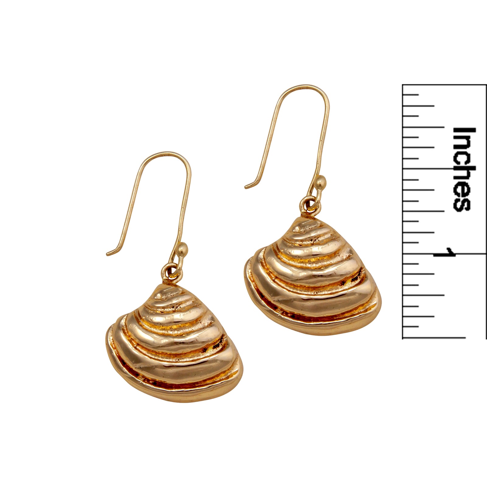 Alchemia Pawley's Island Shell Drop Earrings | Charles Albert Jewelry