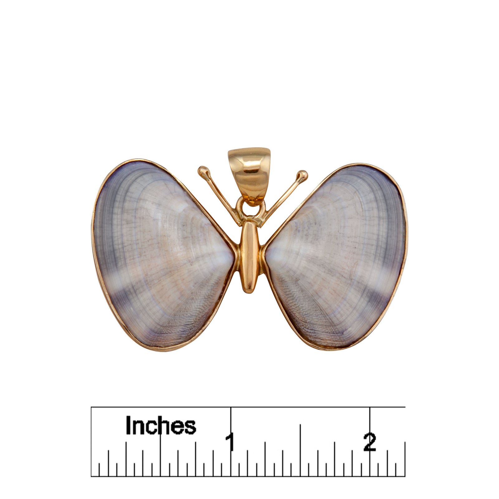 Alchemia Butterfly Shell Pendant | Charles Albert Jewelry