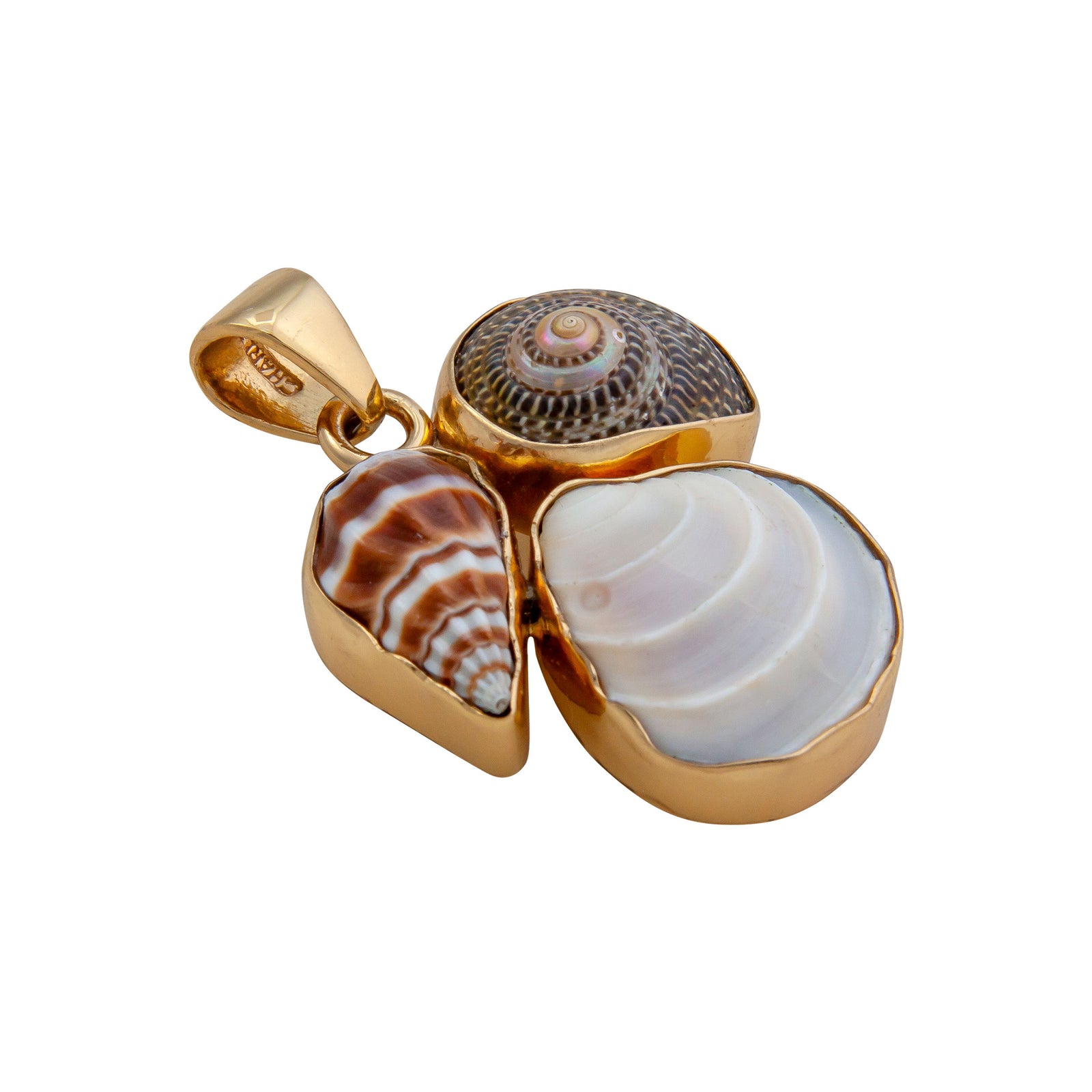 Alchemia Multi Shell Cluster Pendant | Charles Albert Jewelry