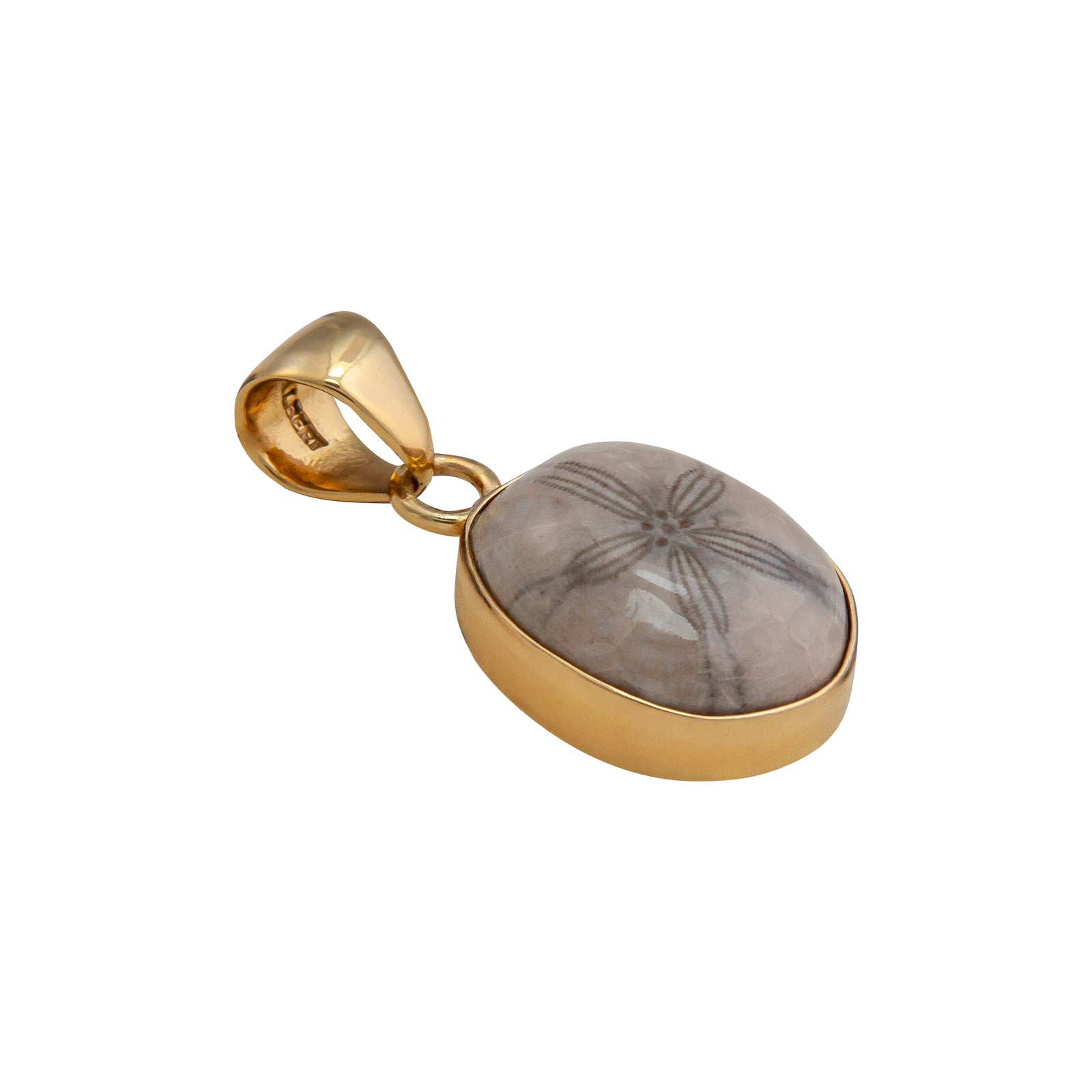 Alchemia Fossilized Sand Dollar Pendant | Charles Albert Jewelry