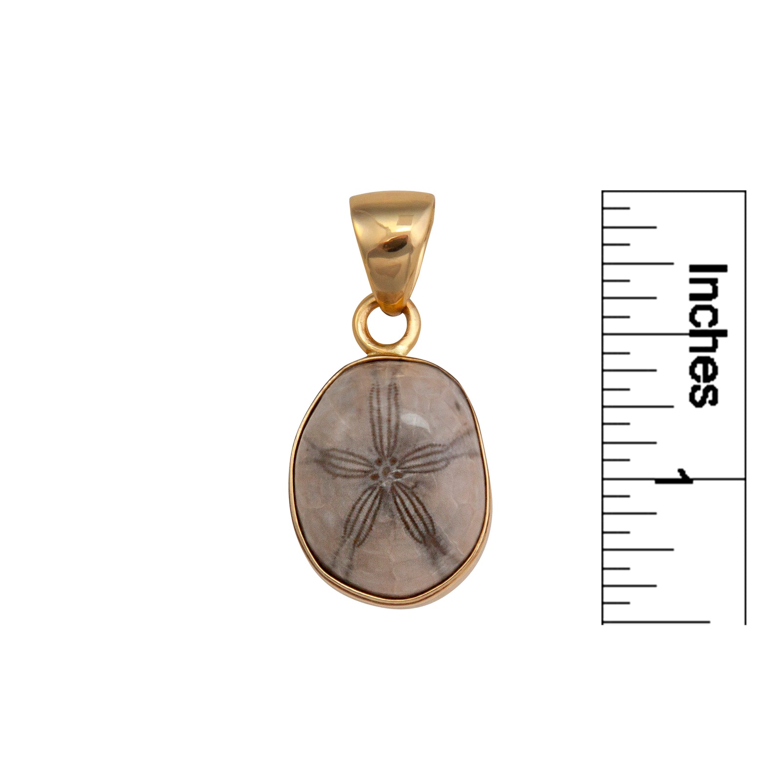 Alchemia Fossilized Sand Dollar Pendant | Charles Albert Jewelry