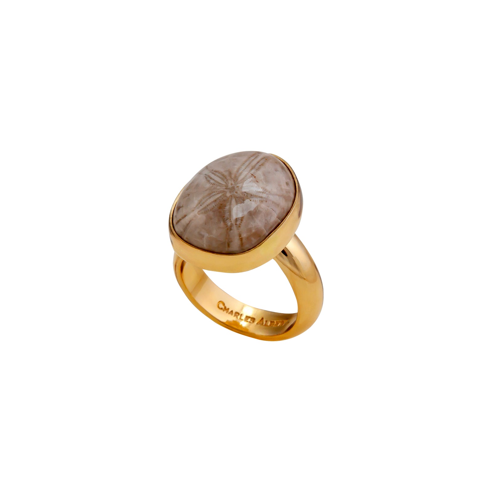 Alchemia Fossilized Sand Dollar Adjustable Ring | Charles Albert Jewelry