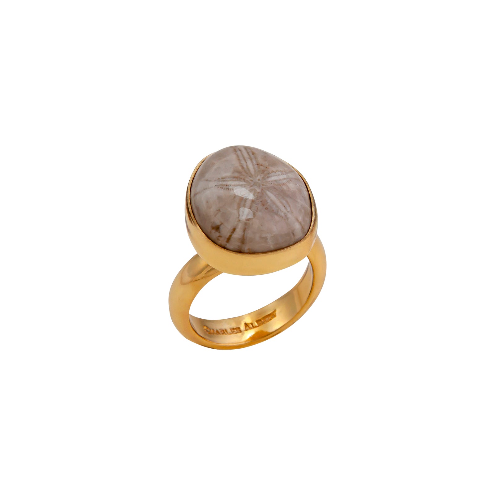 Alchemia Fossilized Sand Dollar Adjustable Ring | Charles Albert Jewelry