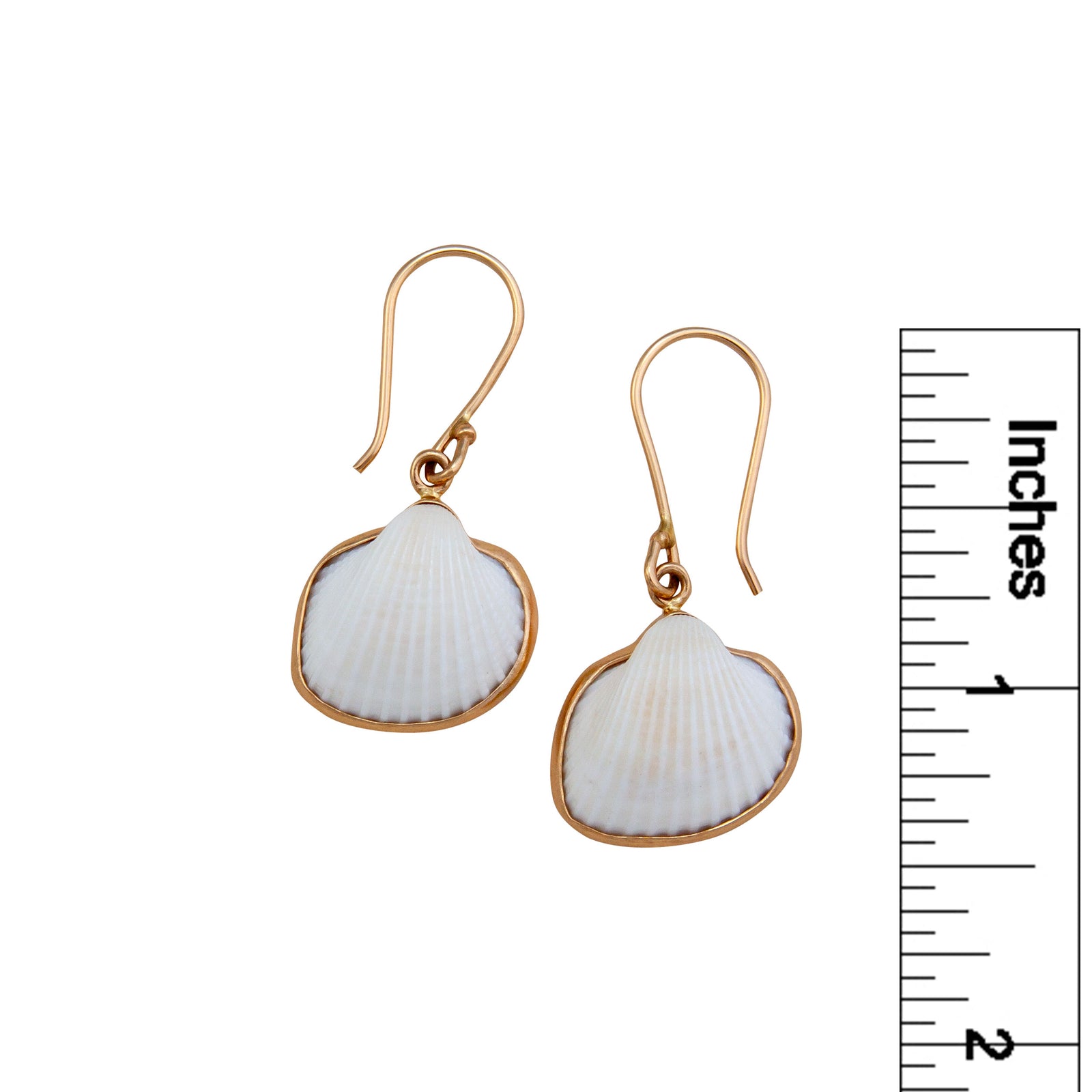 Alchemia Ark Shell Earrings | Charles Albert Jewelry