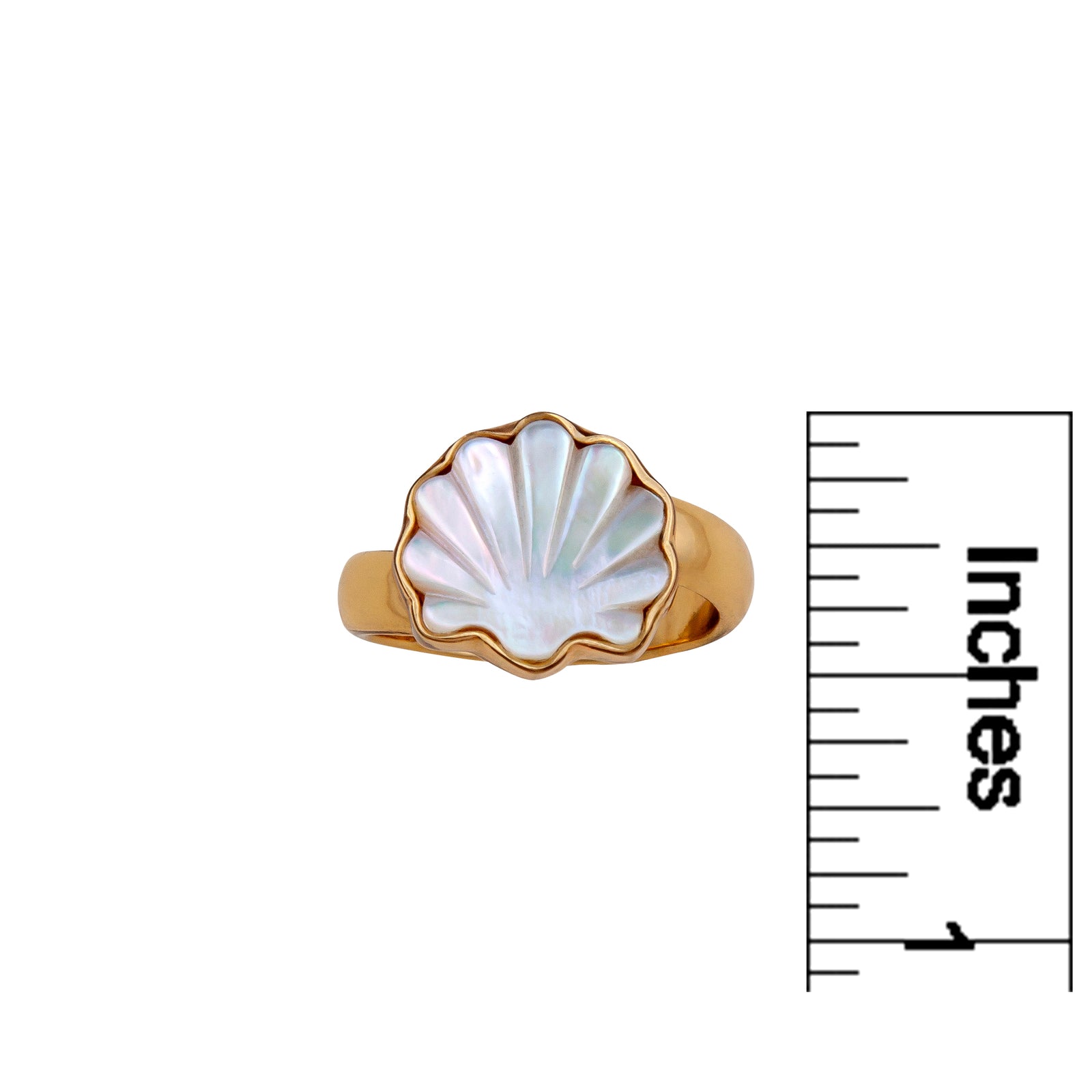 Alchemia Mother of Pearl Clam Adjustable Ring | Charles Albert Jewelry