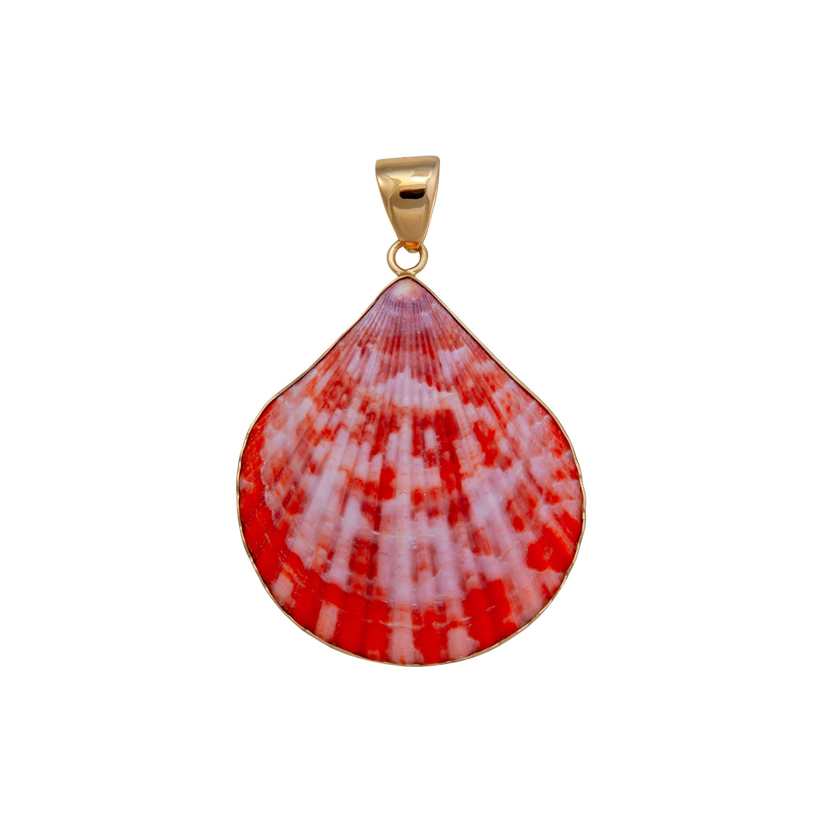 Alchemia Pectin Shell Pendant | Charles Albert Jewelry
