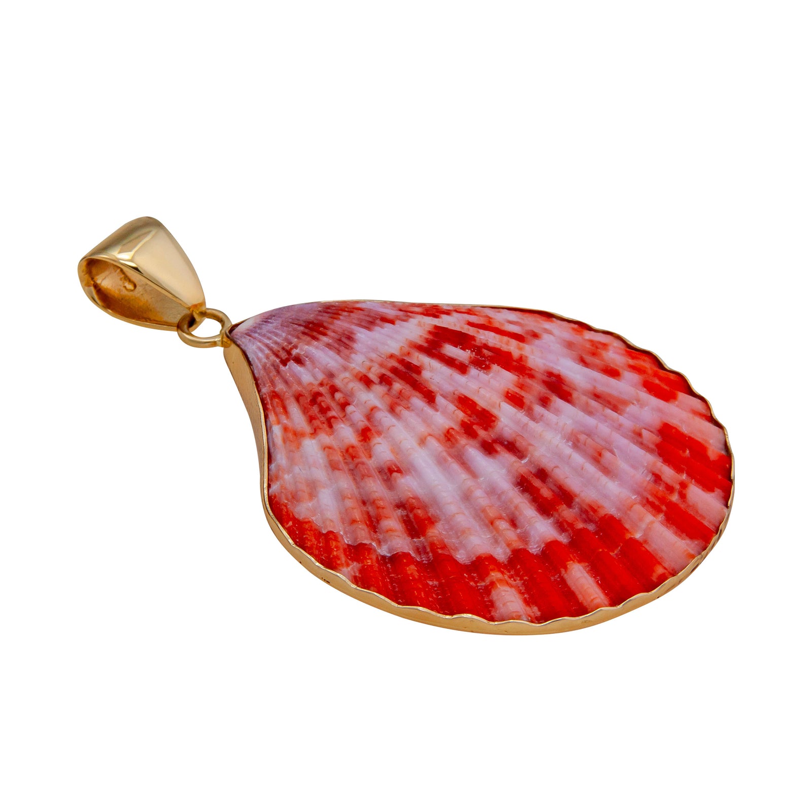 Alchemia Pectin Shell Pendant | Charles Albert Jewelry
