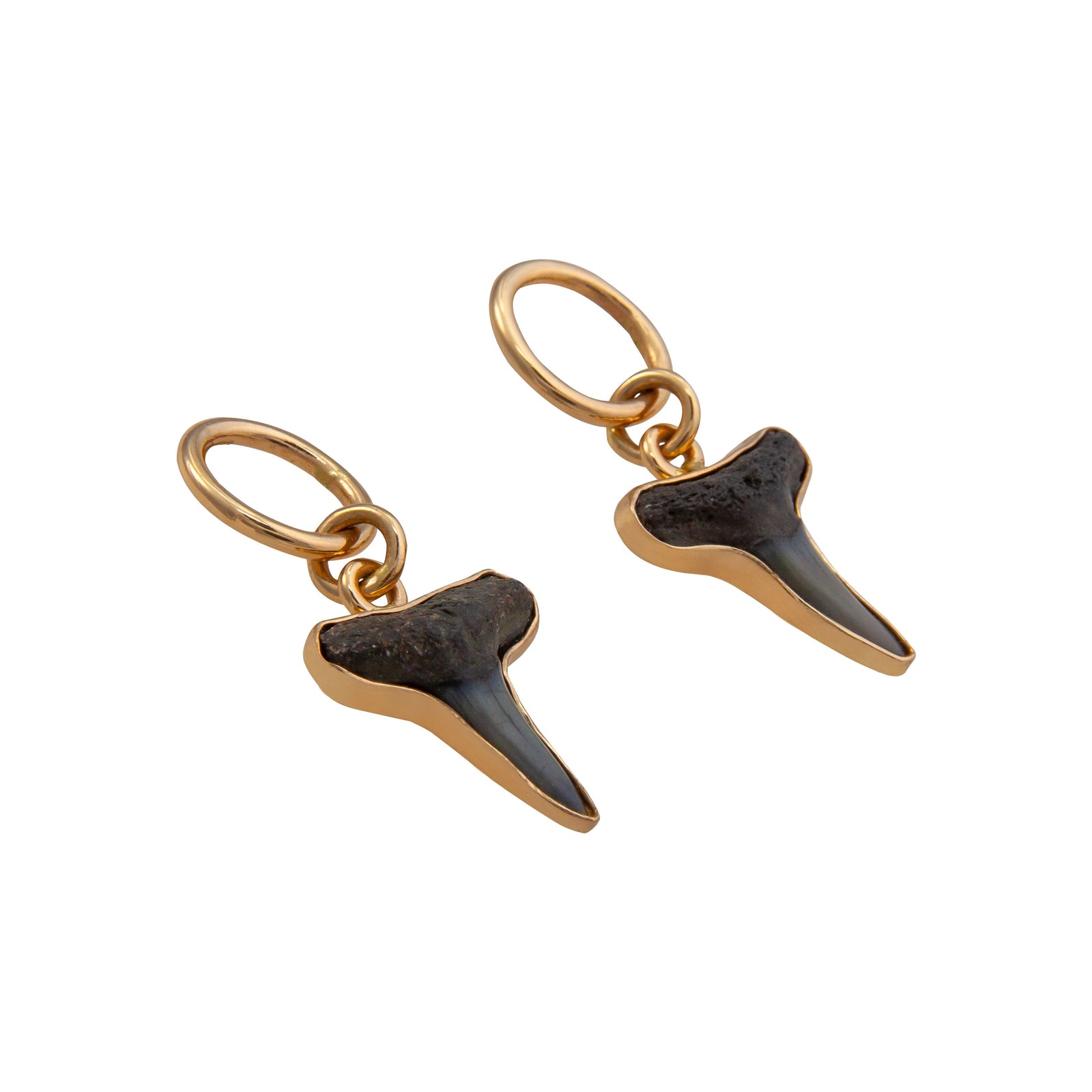 Alchemia Shark Tooth Oval Post Earrings | Charles Albert Jewelry