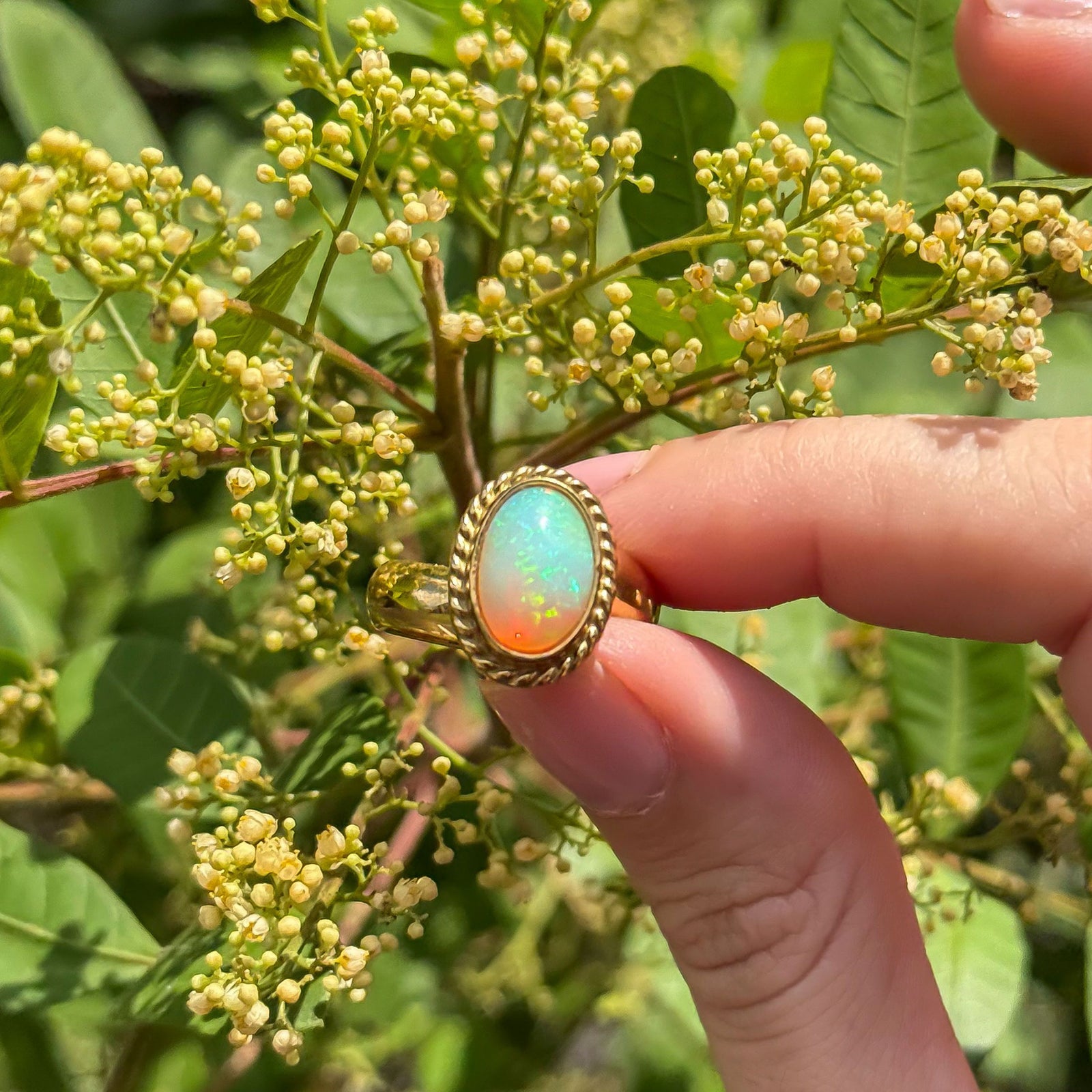 Alchemia Oval Ethiopian Opal Adjustable Ring with Rope Detail | Charles Albert Jewelry