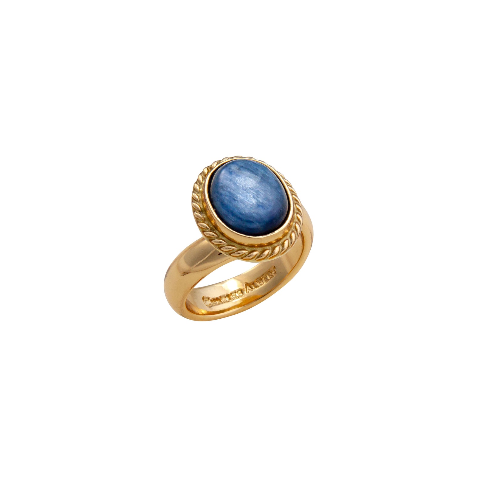 Alchemia Kyanite Oval Rope Adjustable Ring | Charles Albert Jewelry