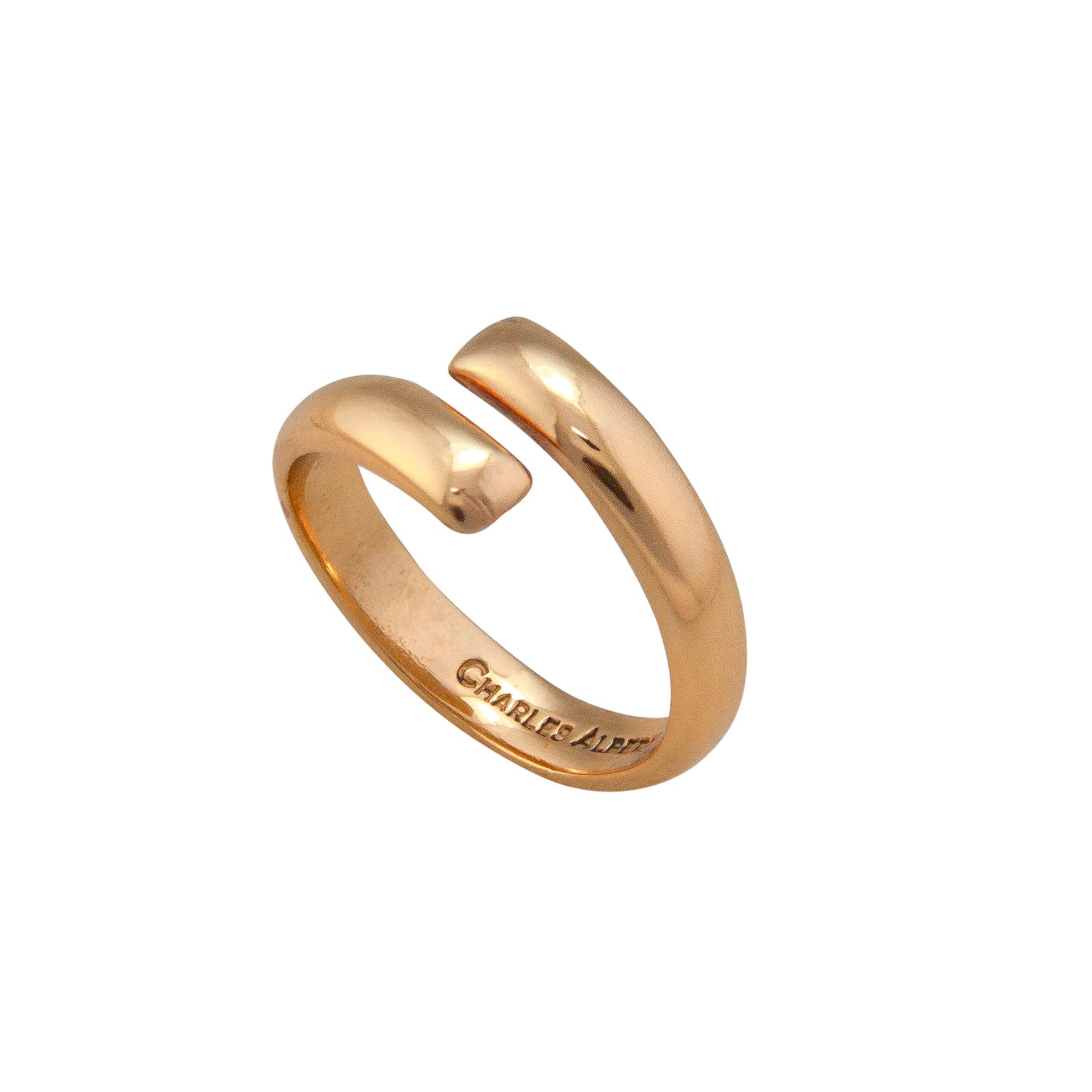 Alchemia Adjustable Band Ring | Charles Albert Jewelry