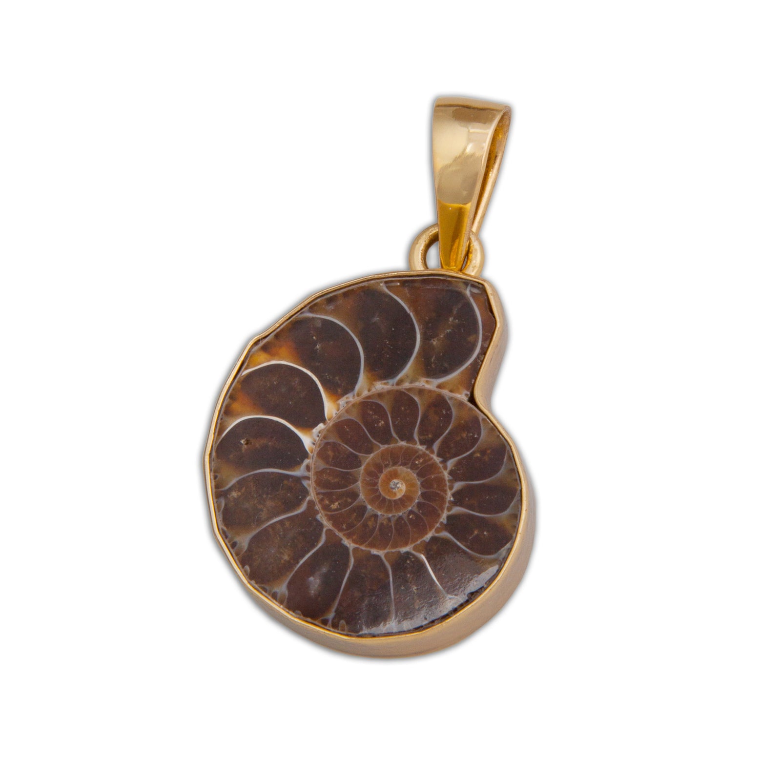Alchemia Ammonite Pendant | Charles Albert Jewelry