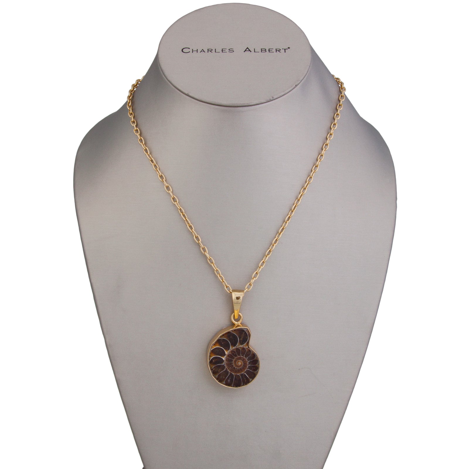 Alchemia Ammonite Pendant | Charles Albert Jewelry