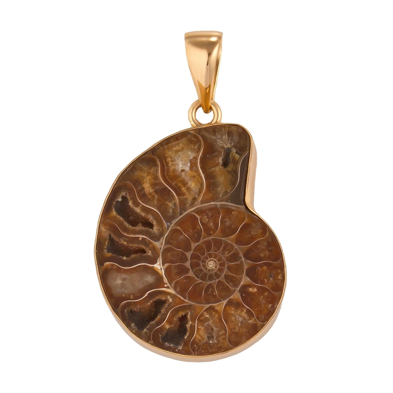 Alchemia Ammonite Pendant | Charles Albert Jewelry