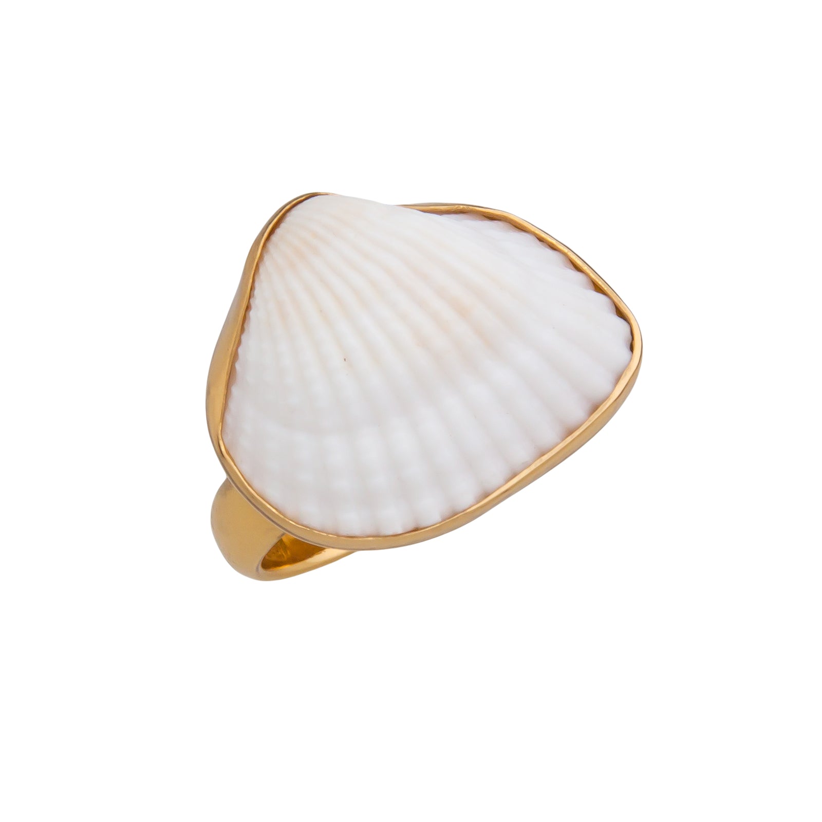 Alchemia Ark Shell Adjustable Ring | Charles Albert Jewelry