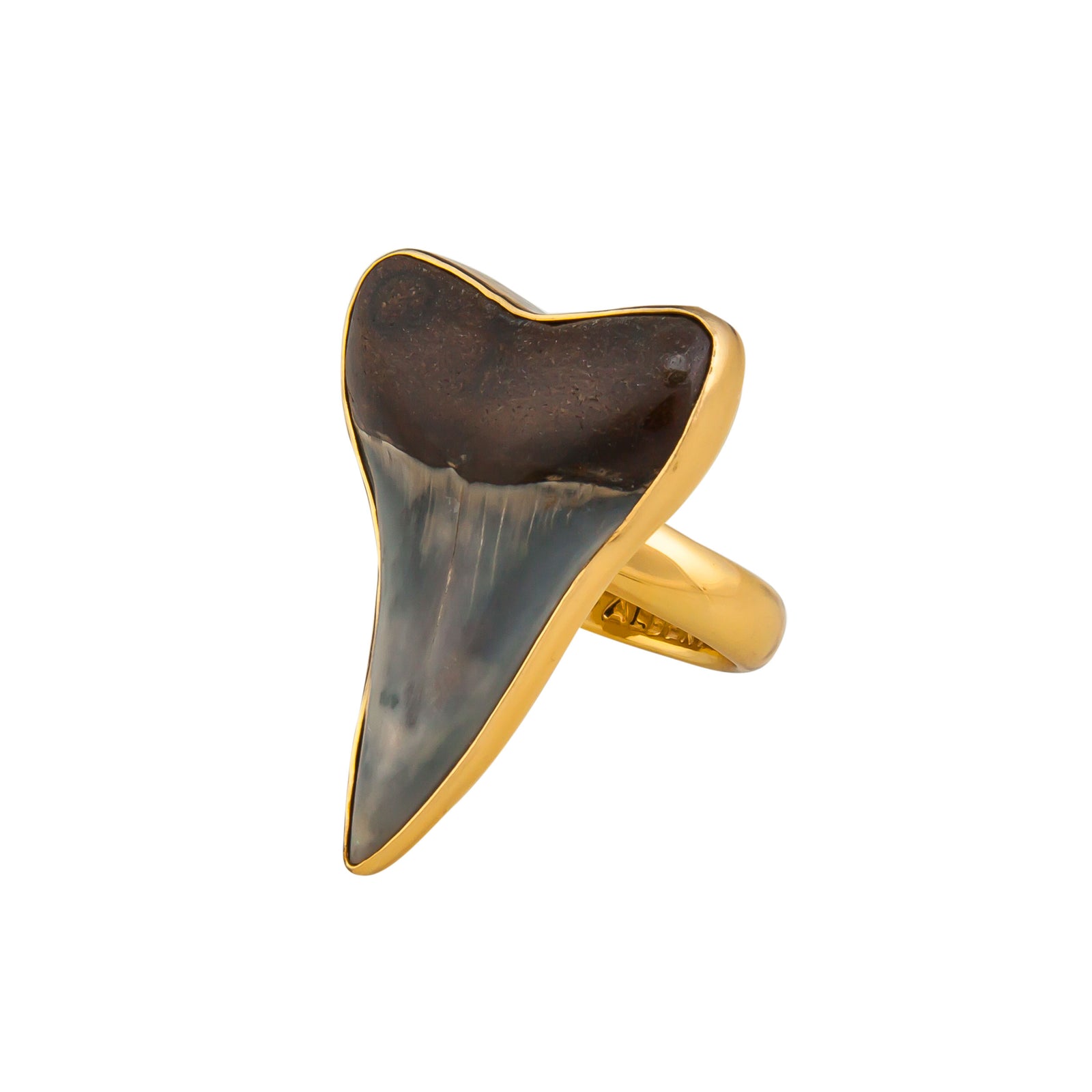 Alchemia Fossil Shark Tooth Adjustable Ring | Charles Albert Jewelry