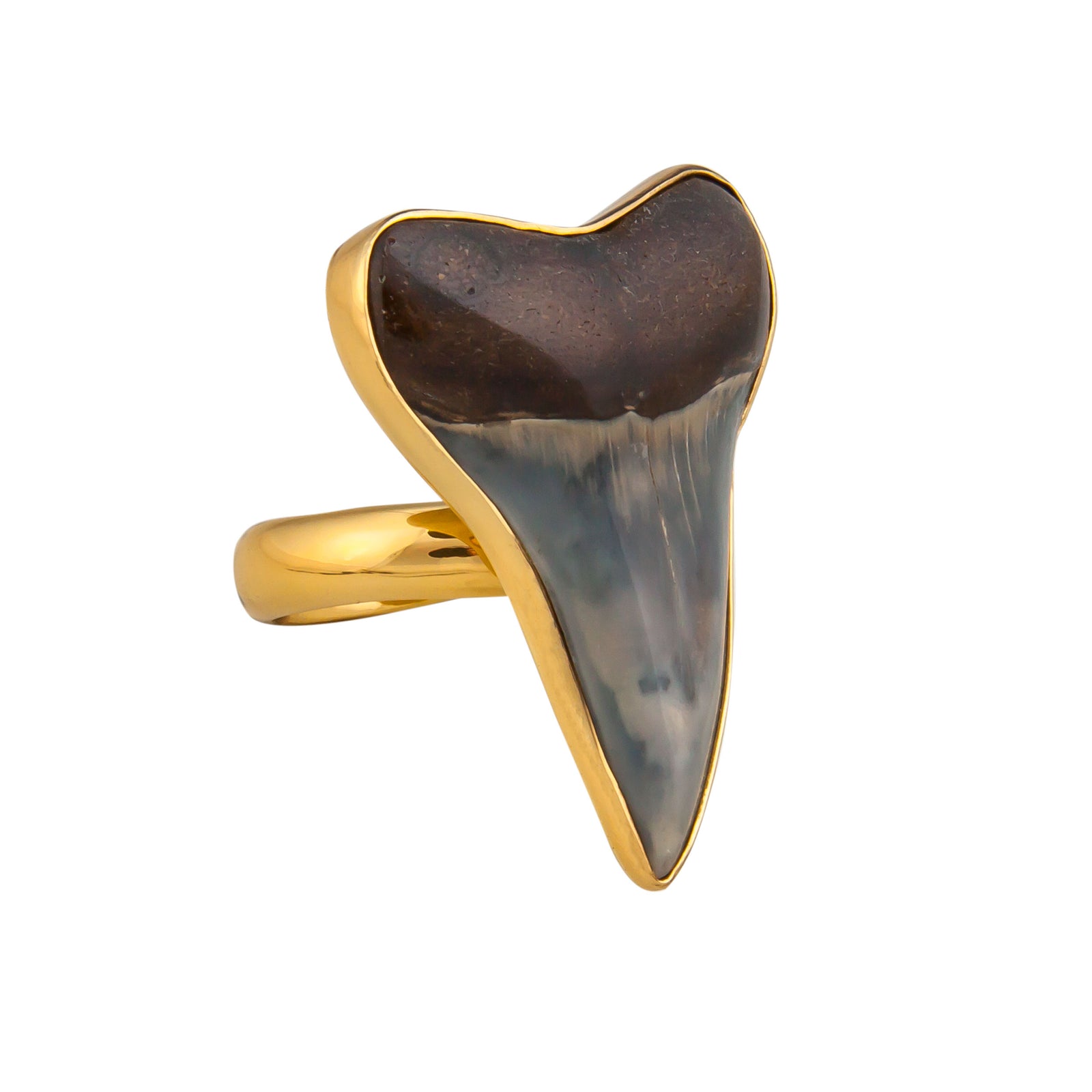 Alchemia Fossil Shark Tooth Adjustable Ring | Charles Albert Jewelry