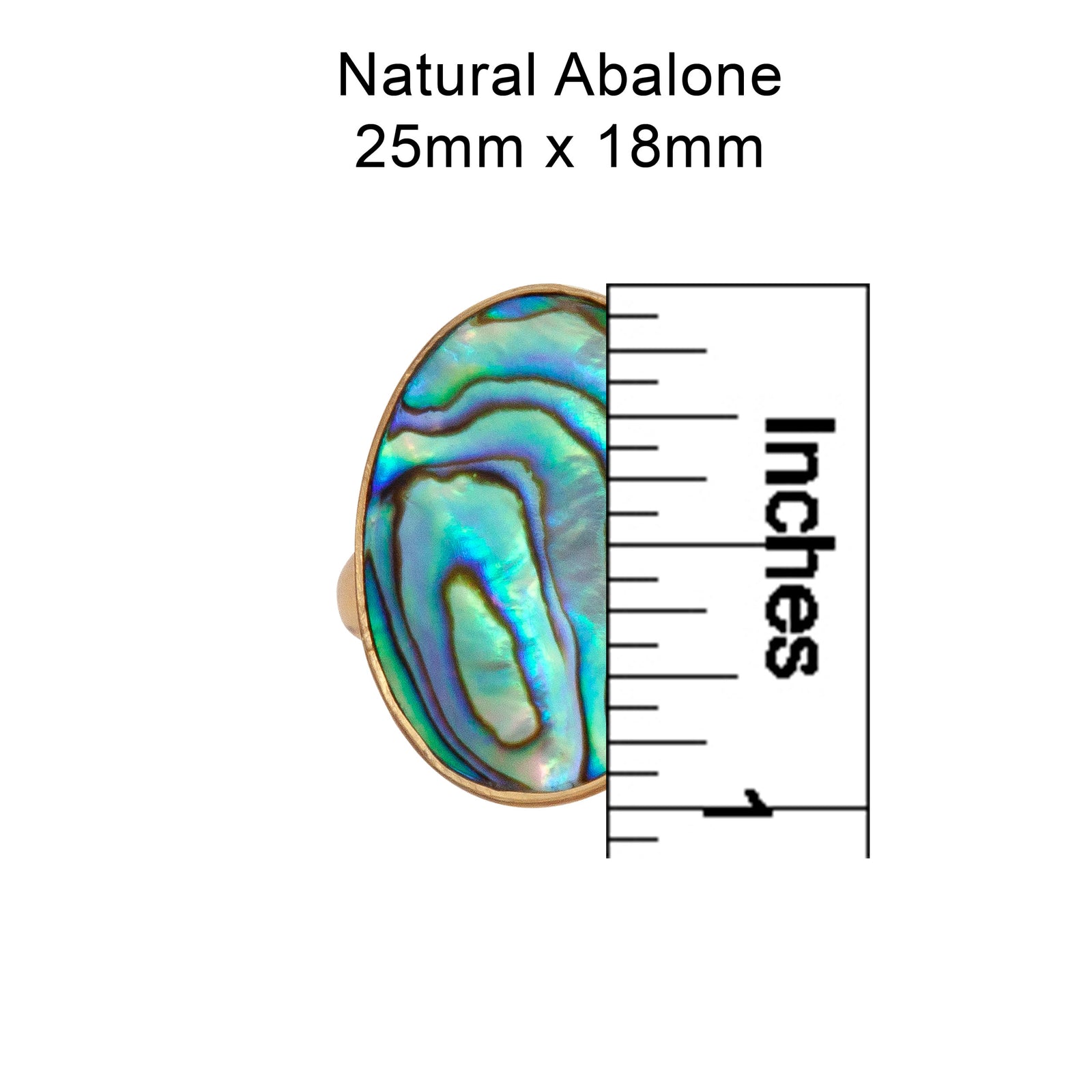 Alchemia Natural Abalone Adjustable Ring - Measurements | Charles Albert Jewelry