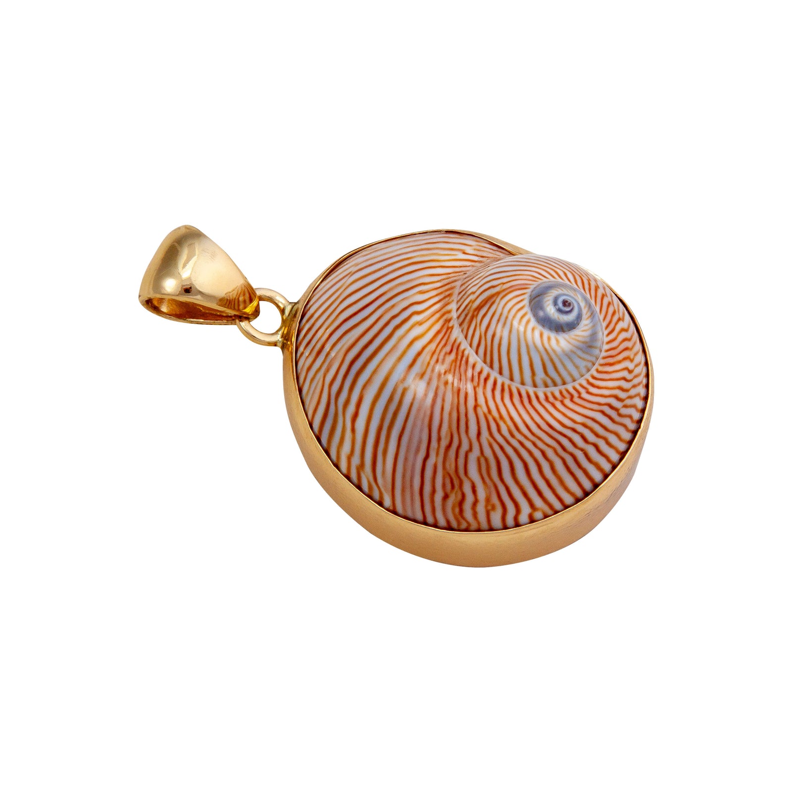 Alchemia Whale Eye Shell Pendant | Charles Albert Jewelry