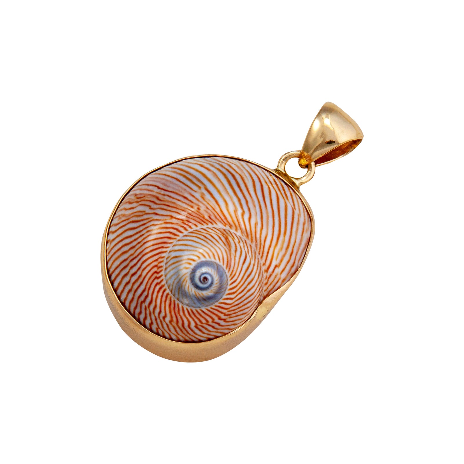 Alchemia Whale Eye Shell Pendant | Charles Albert Jewelry