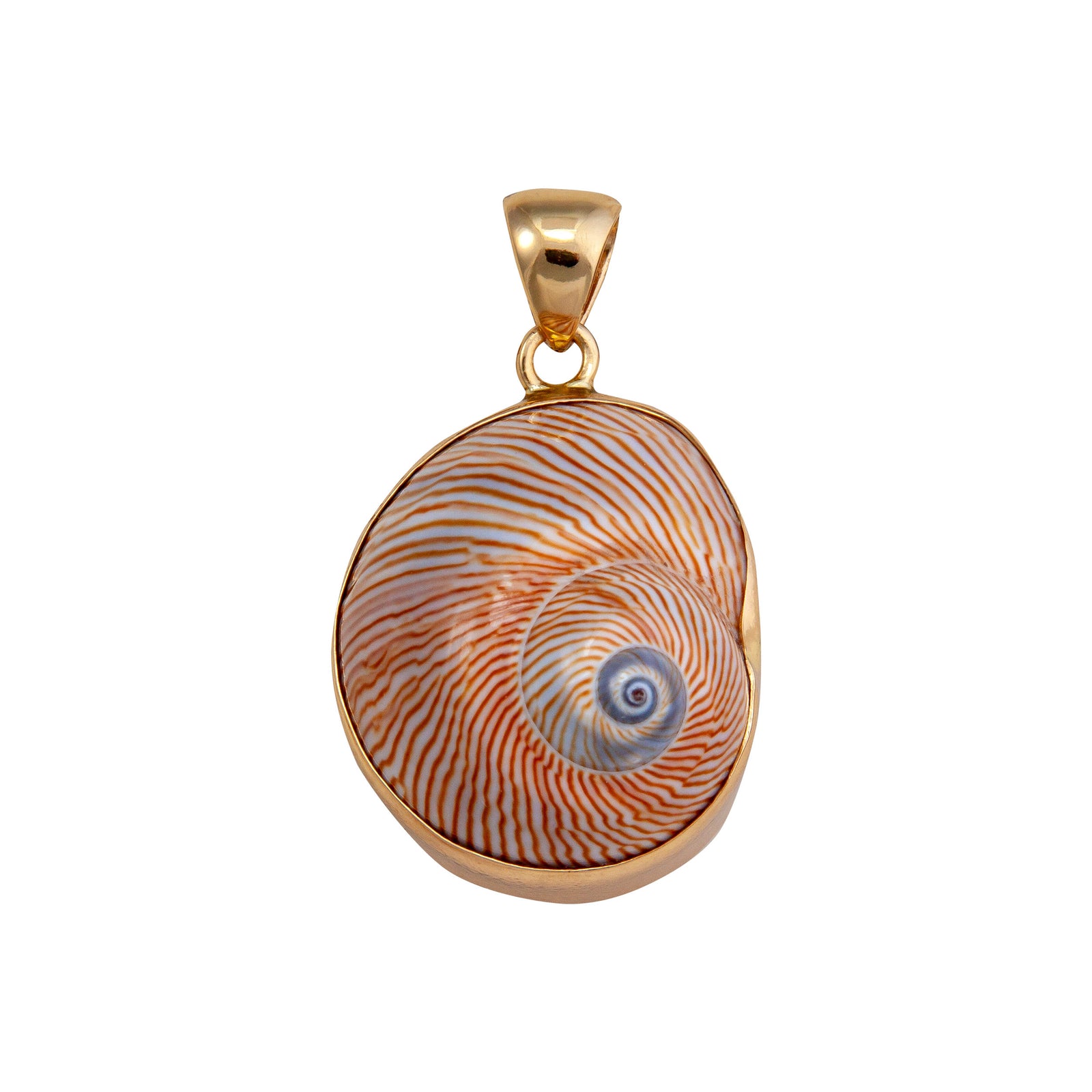 Alchemia Whale Eye Shell Pendant | Charles Albert Jewelry