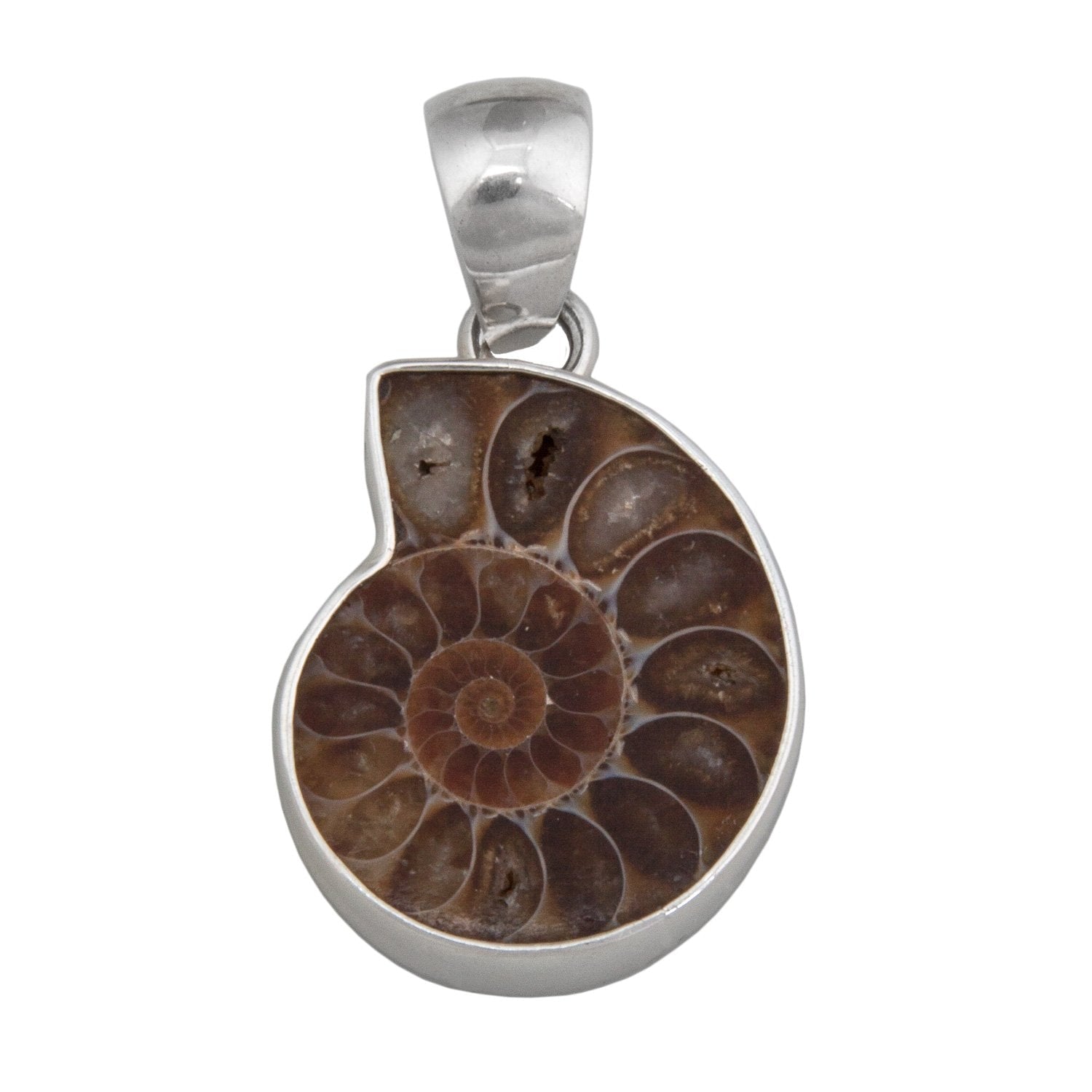 Sterling Silver Ammonite Pendant | Charles Albert Jewelry
