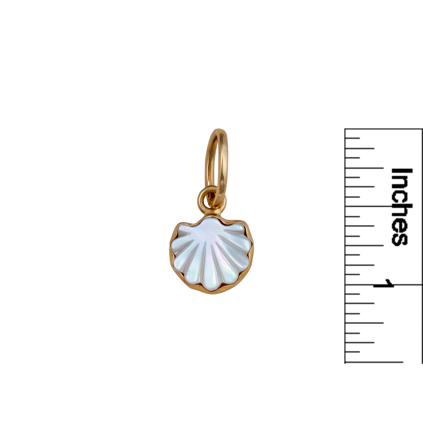 Alchemia Mother of Pearl Clam Shell Charm Pendant | Charles Albert Jewelry