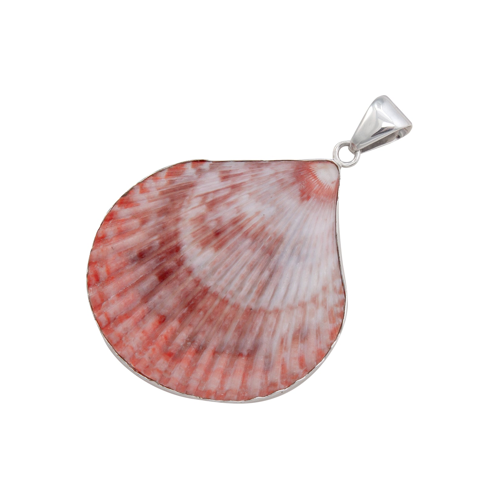 Sterling Silver Pectin Shell Pendant | Charles Albert Jewelry