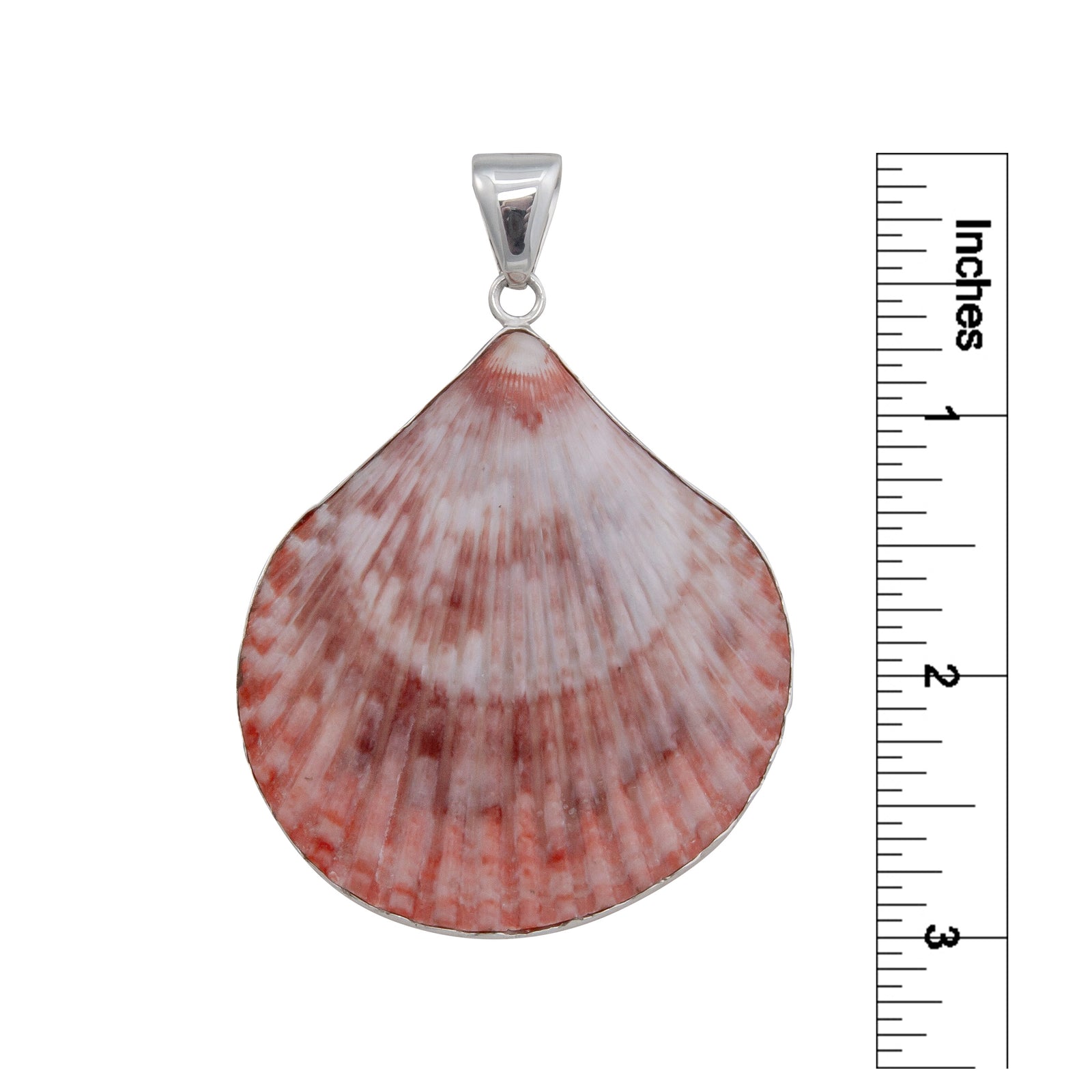 Sterling Silver Pectin Shell Pendant | Charles Albert Jewelry