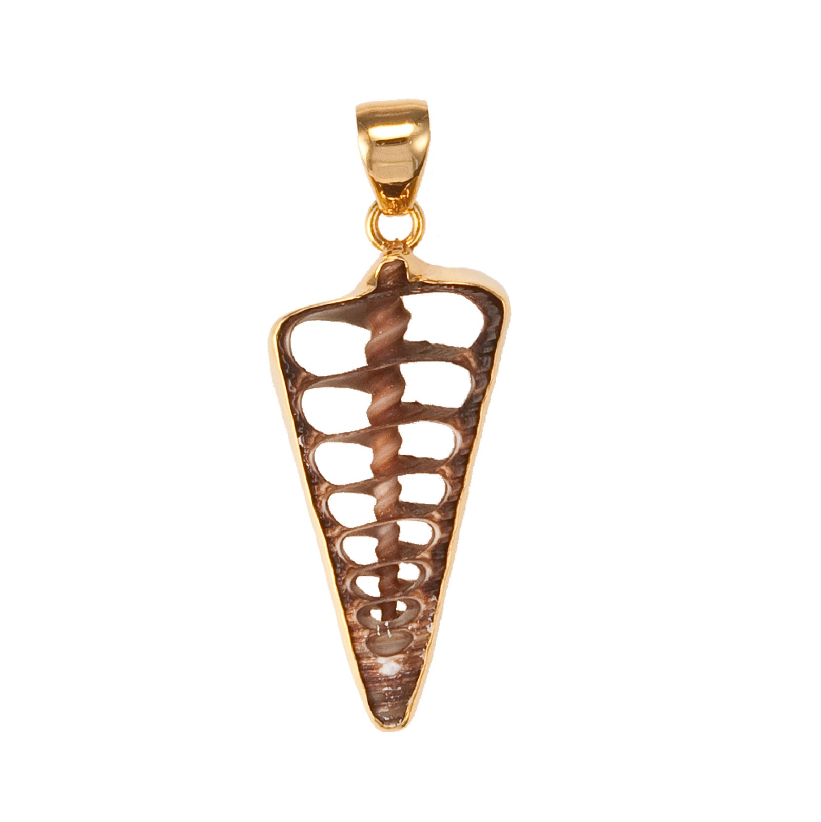 Alchemia Cerithium Telescopium Shell Pendant | Charles Albert Jewelry