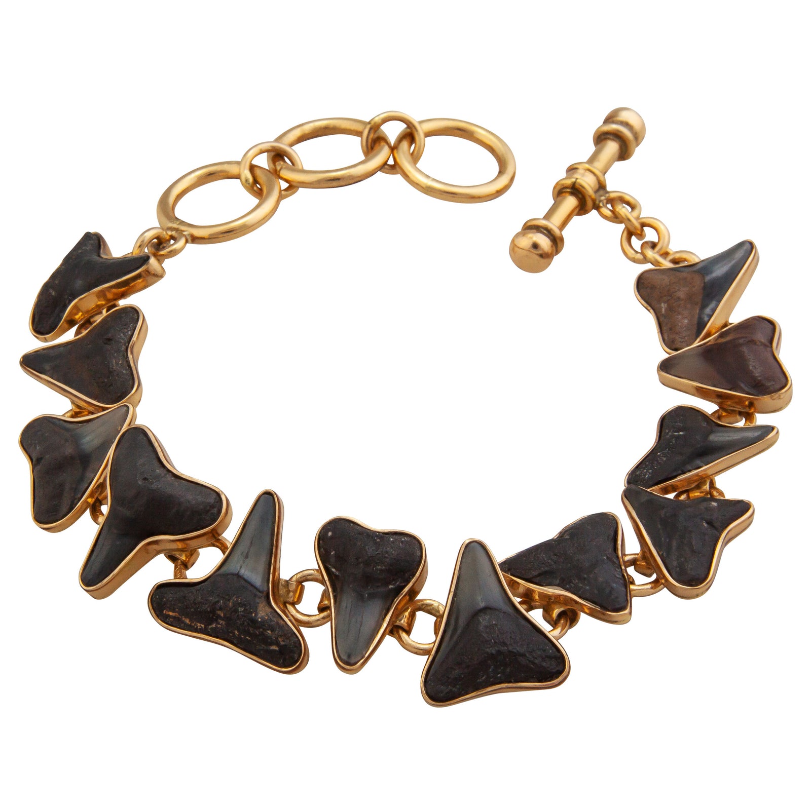 Alchemia Fossil Shark Teeth Bracelet | Charles Albert Jewelry
