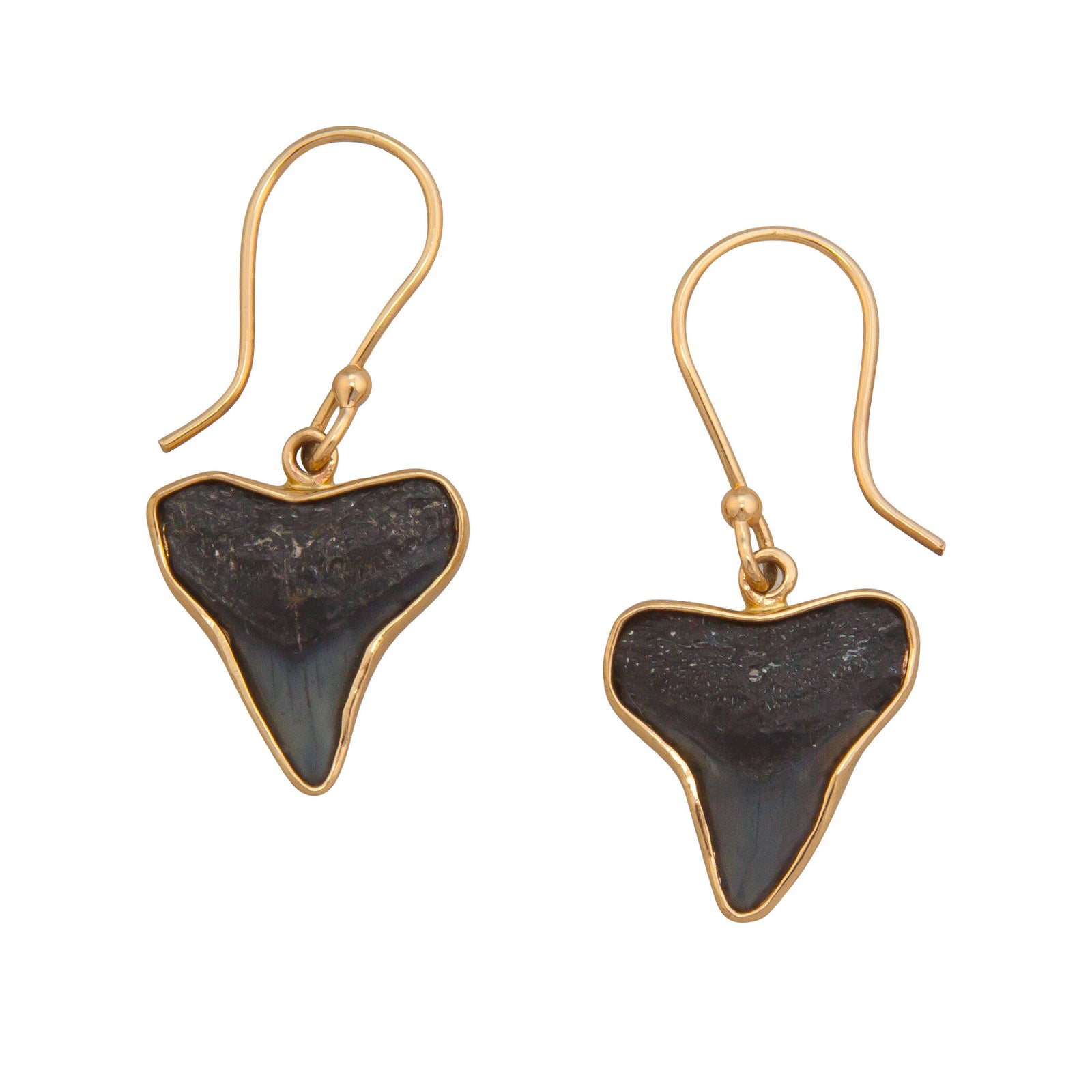 Alchemia Fossil Shark Teeth Drop Earrings | Charles Albert Jewelry