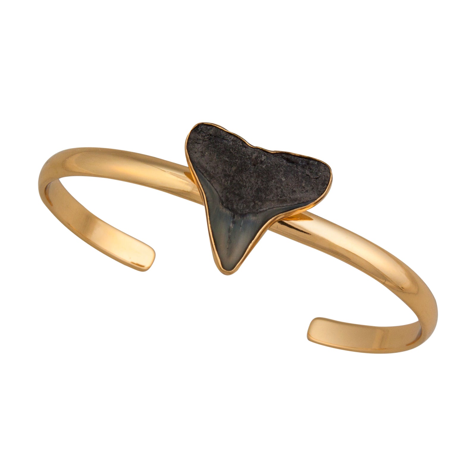 Alchemia Fossil Shark Tooth Mini Cuff | Charles Albert Jewelry