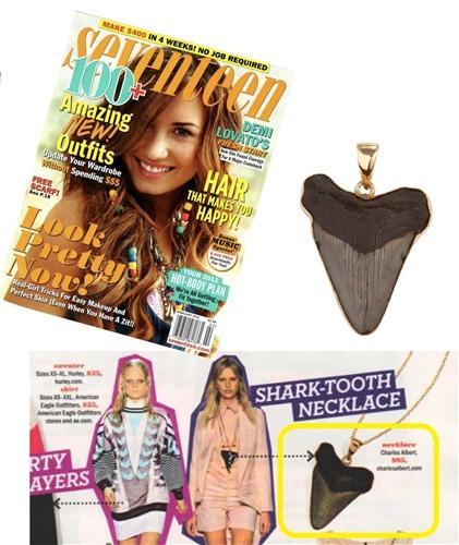Alchemia Fossil Shark Tooth Pendant | Charles Albert Jewelry