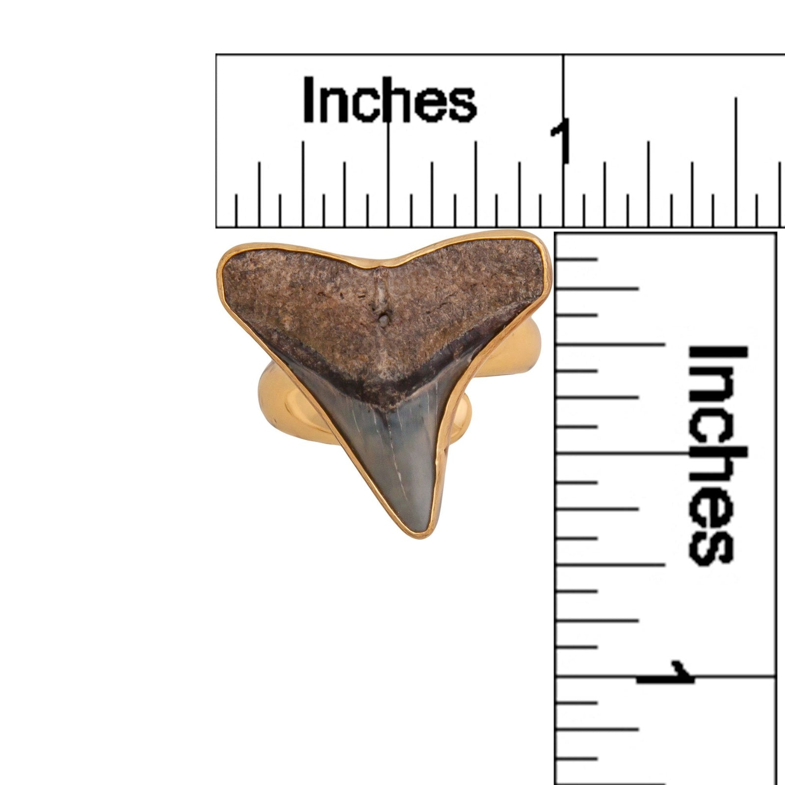 Alchemia Mini Shark Tooth Adjustable Ring | Charles Albert Jewelry
