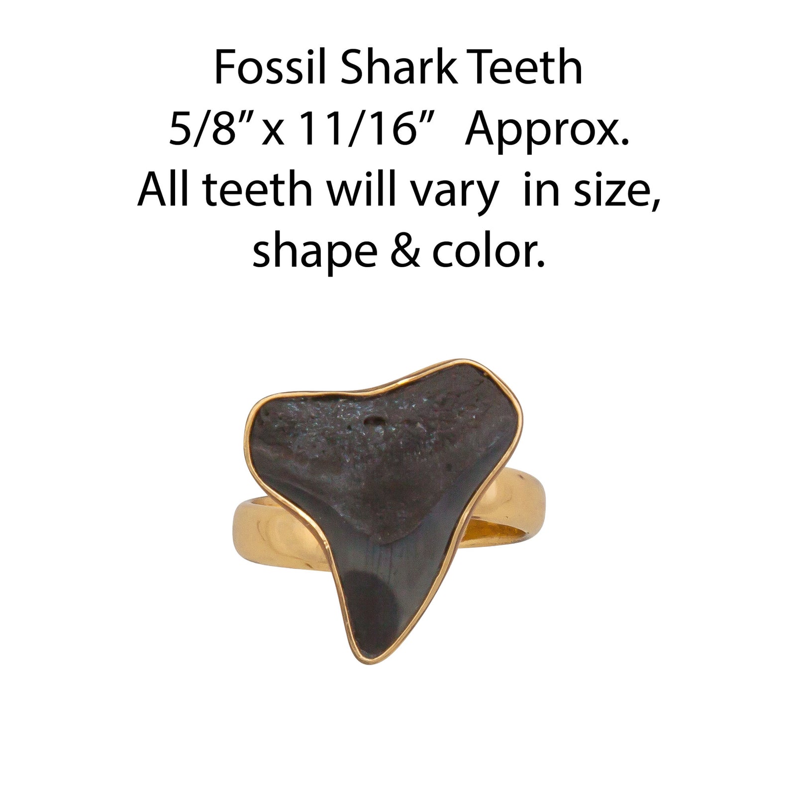 Alchemia Mini Shark Tooth Adjustable Ring | Charles Albert Jewelry