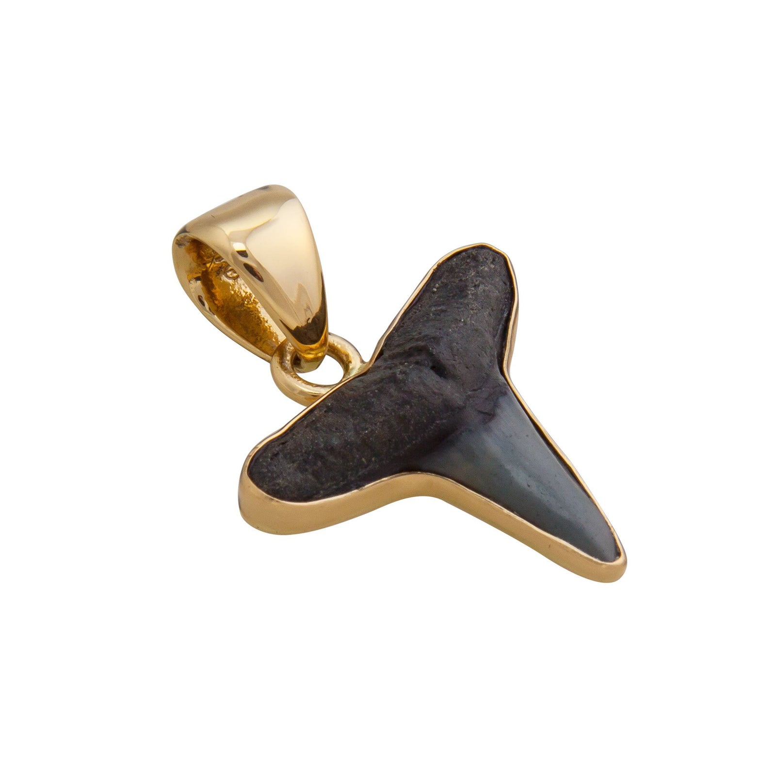 Alchemia Mini Shark Tooth Pendant | Charles Albert Jewelry