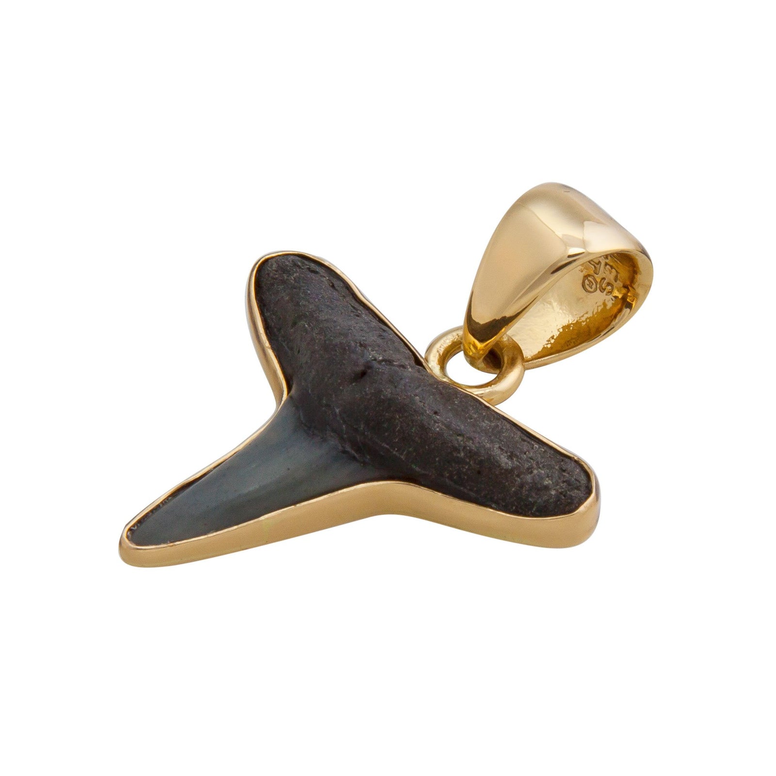 Alchemia Mini Shark Tooth Pendant | Charles Albert Jewelry