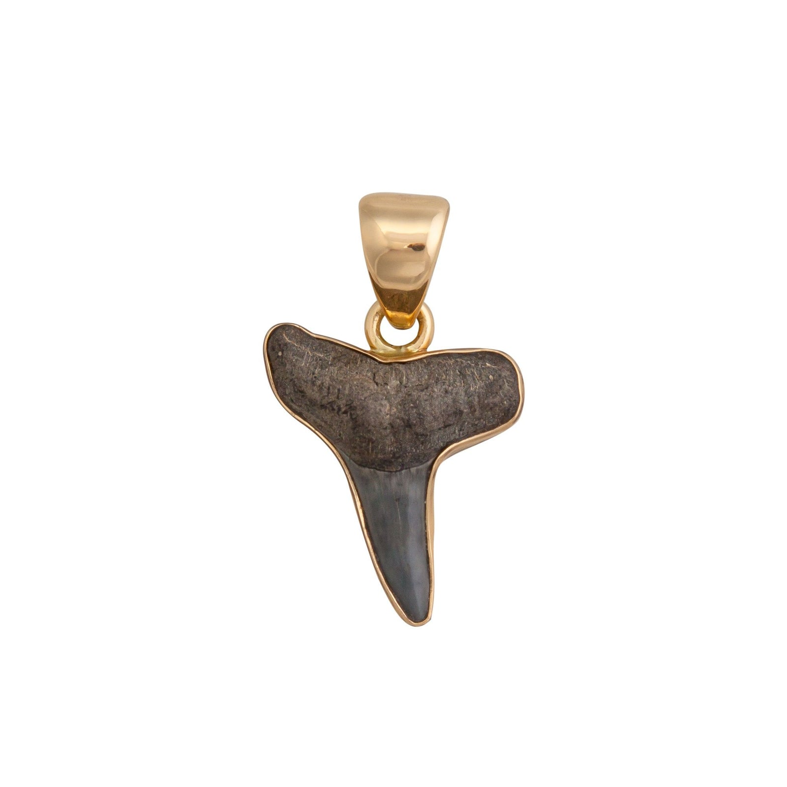 Alchemia Mini Shark Tooth Pendant | Charles Albert Jewelry