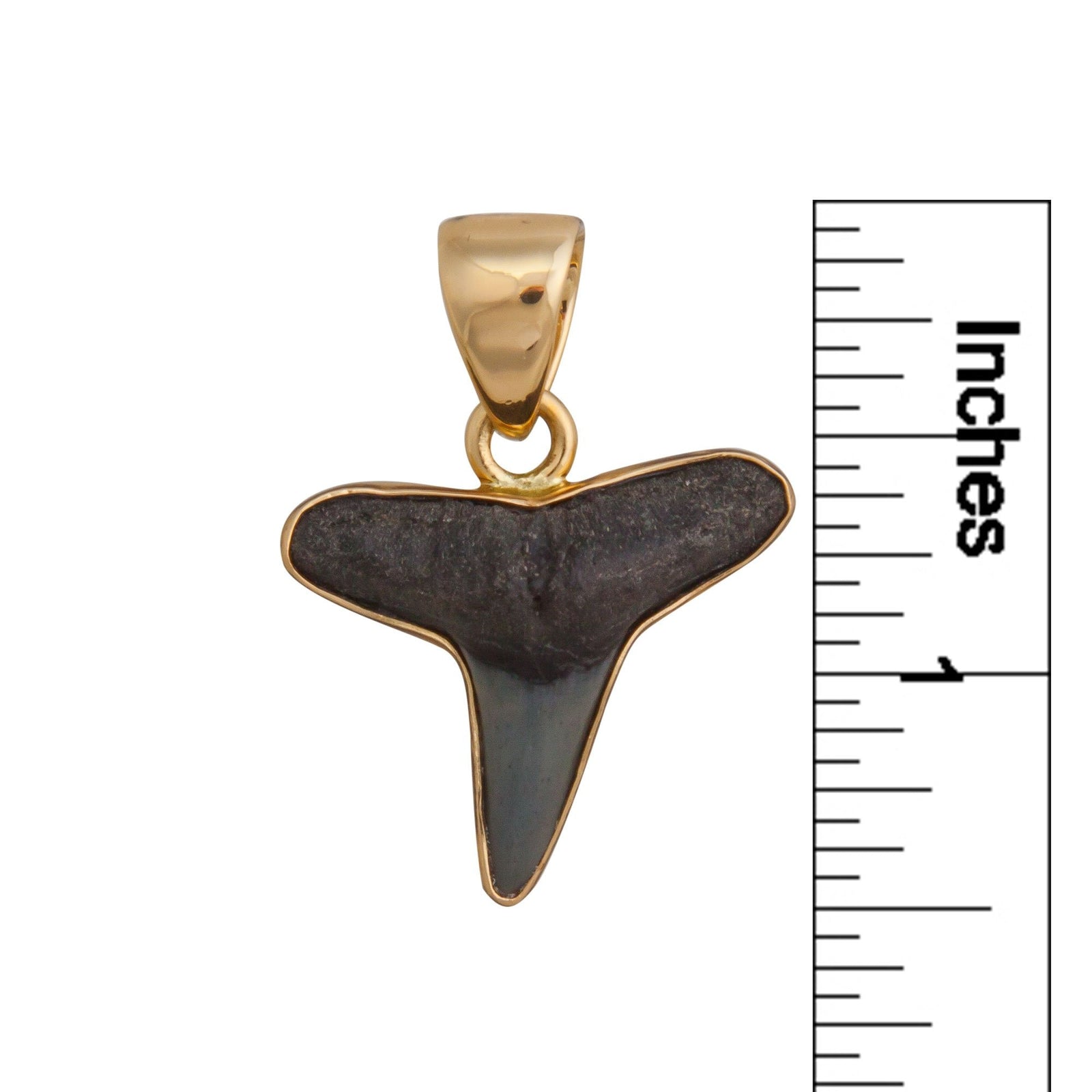 Alchemia Mini Shark Tooth Pendant | Charles Albert Jewelry