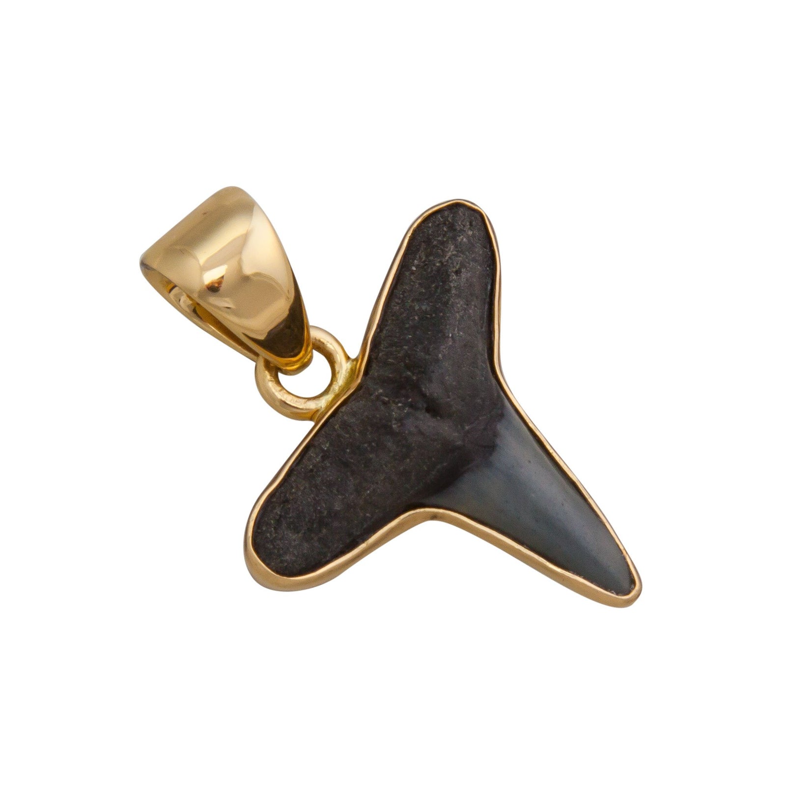 Alchemia Mini Shark Tooth Pendant | Charles Albert Jewelry