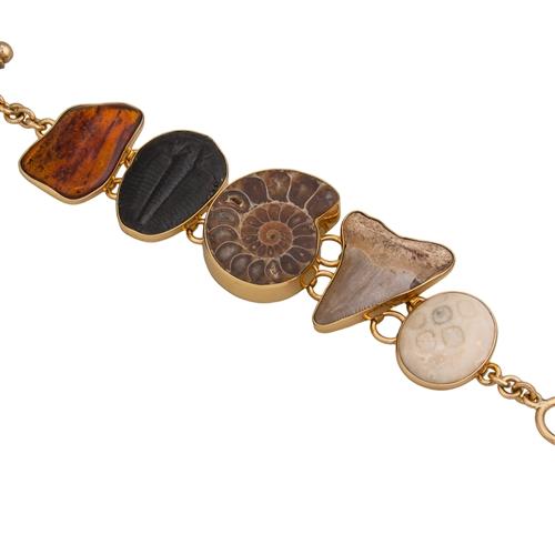 Alchemia Multi Fossil Bracelet | Charles Albert Jewelry