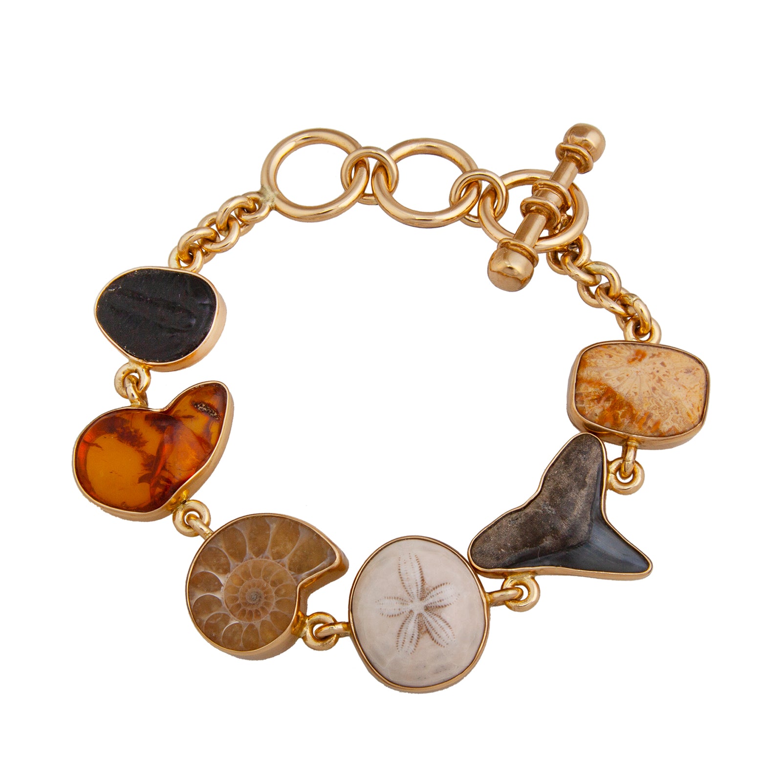 Alchemia Small Multi-Fossil Bracelet | Charles Albert Jewelry