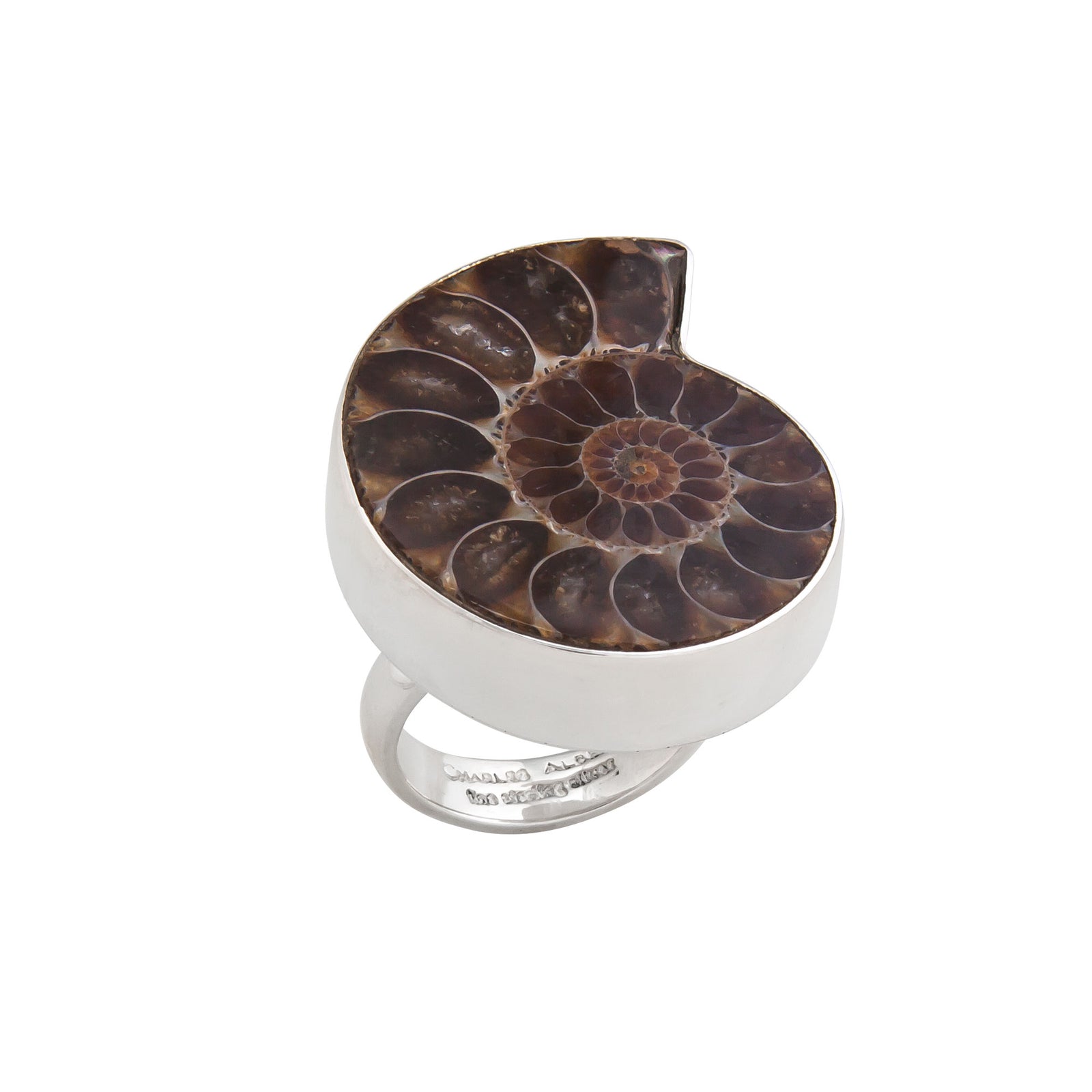 Sterling Silver Ammonite Adjustable Ring | Charles Albert Jewelry