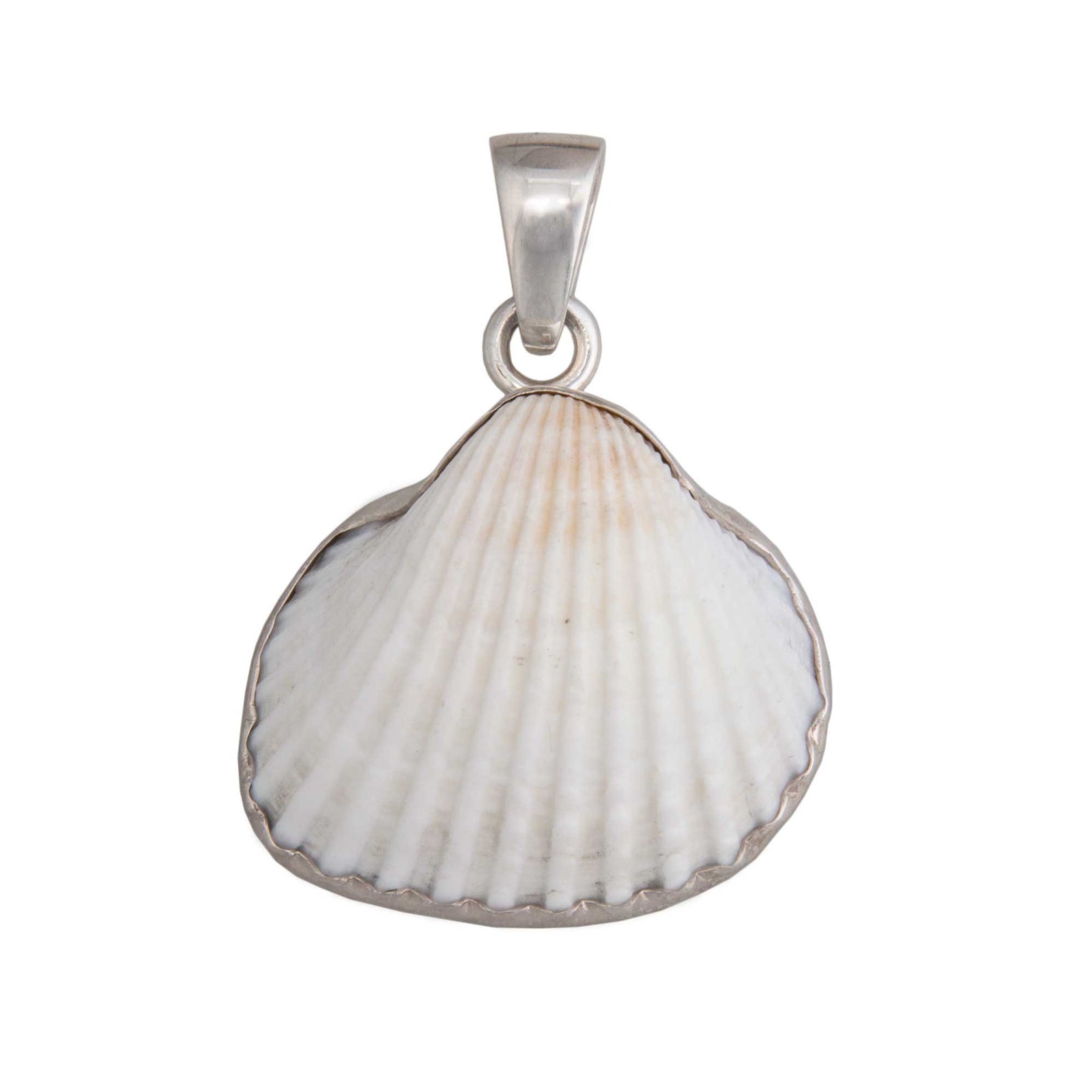Sterling Silver Ark Shell Pendant | Charles Albert Jewelry