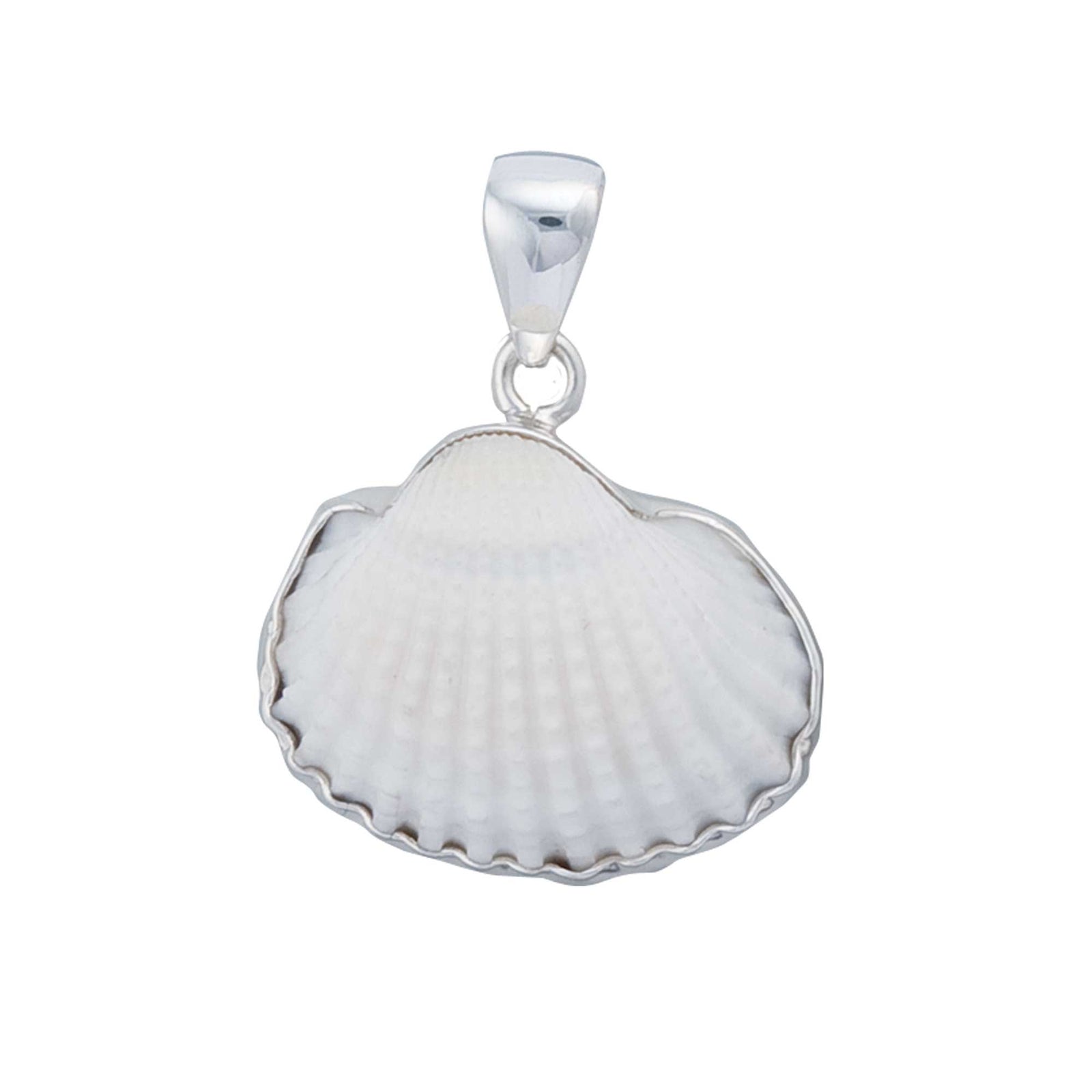 Sterling Silver Ark Shell Pendant | Charles Albert Jewelry