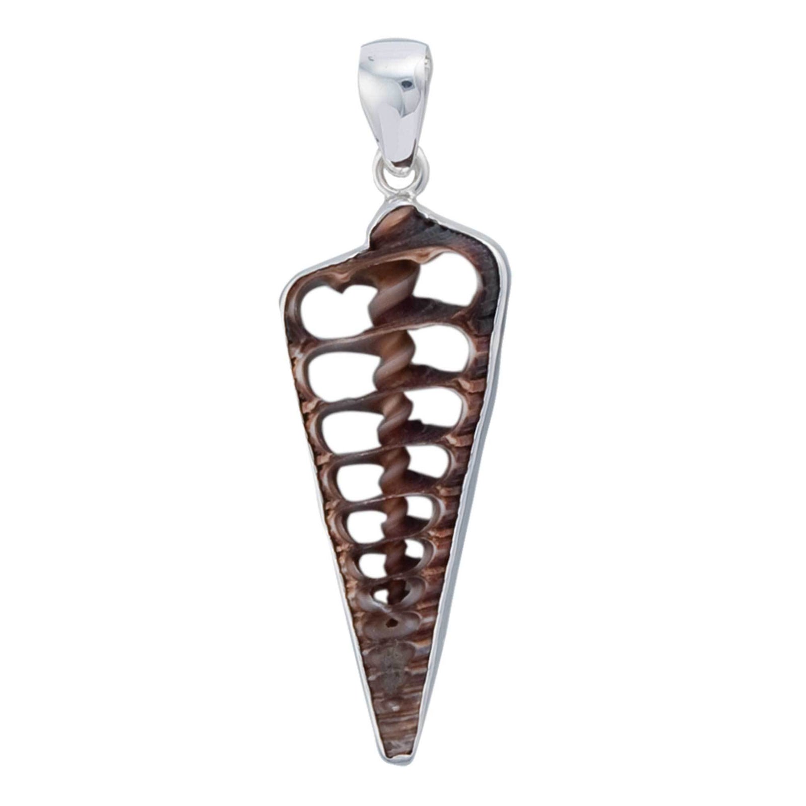 Sterling Silver Cerithium Telescopium Shell Pendant | Charles Albert Jewelry