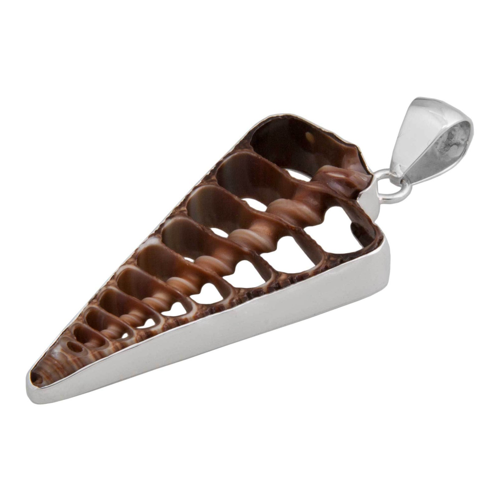 Sterling Silver Cerithium Telescopium Shell Pendant | Charles Albert Jewelry